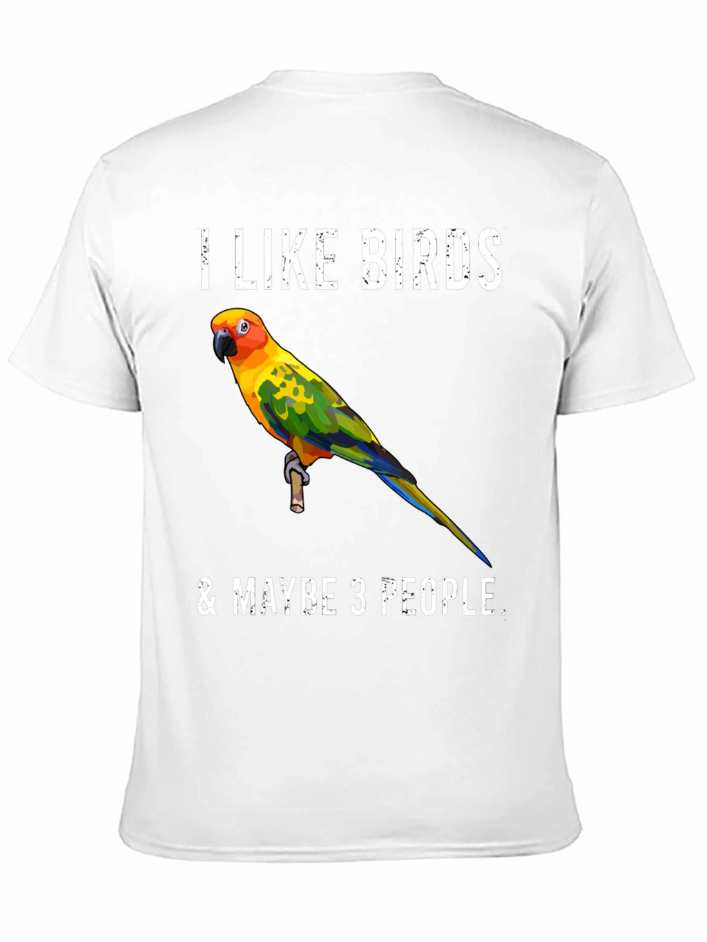 I Like Birds & Maybe 3 People T-Shirt