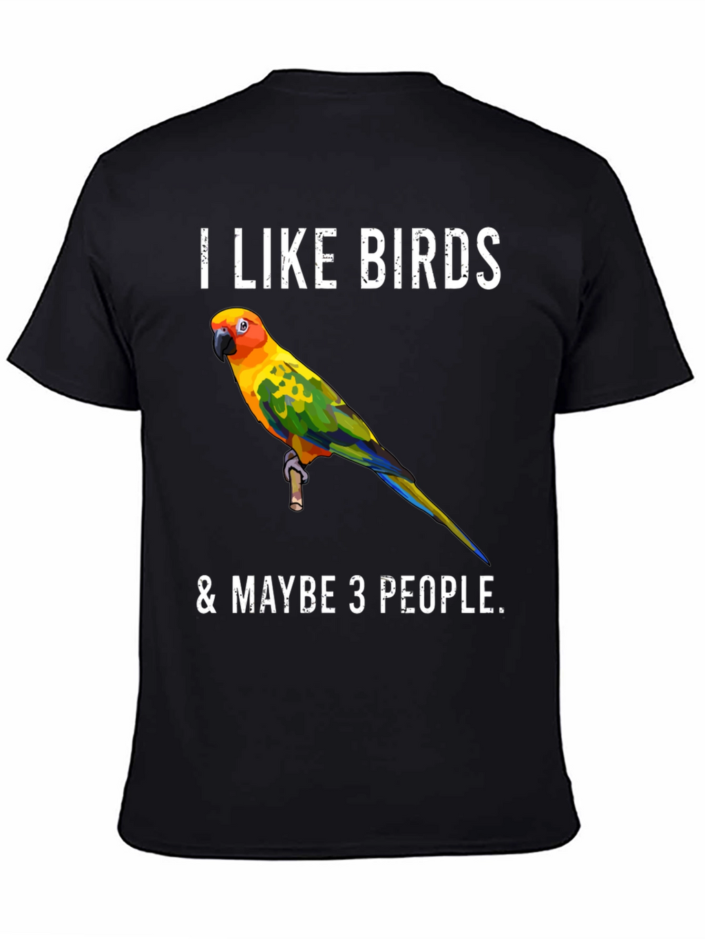 I Like Birds & Maybe 3 People T-Shirt