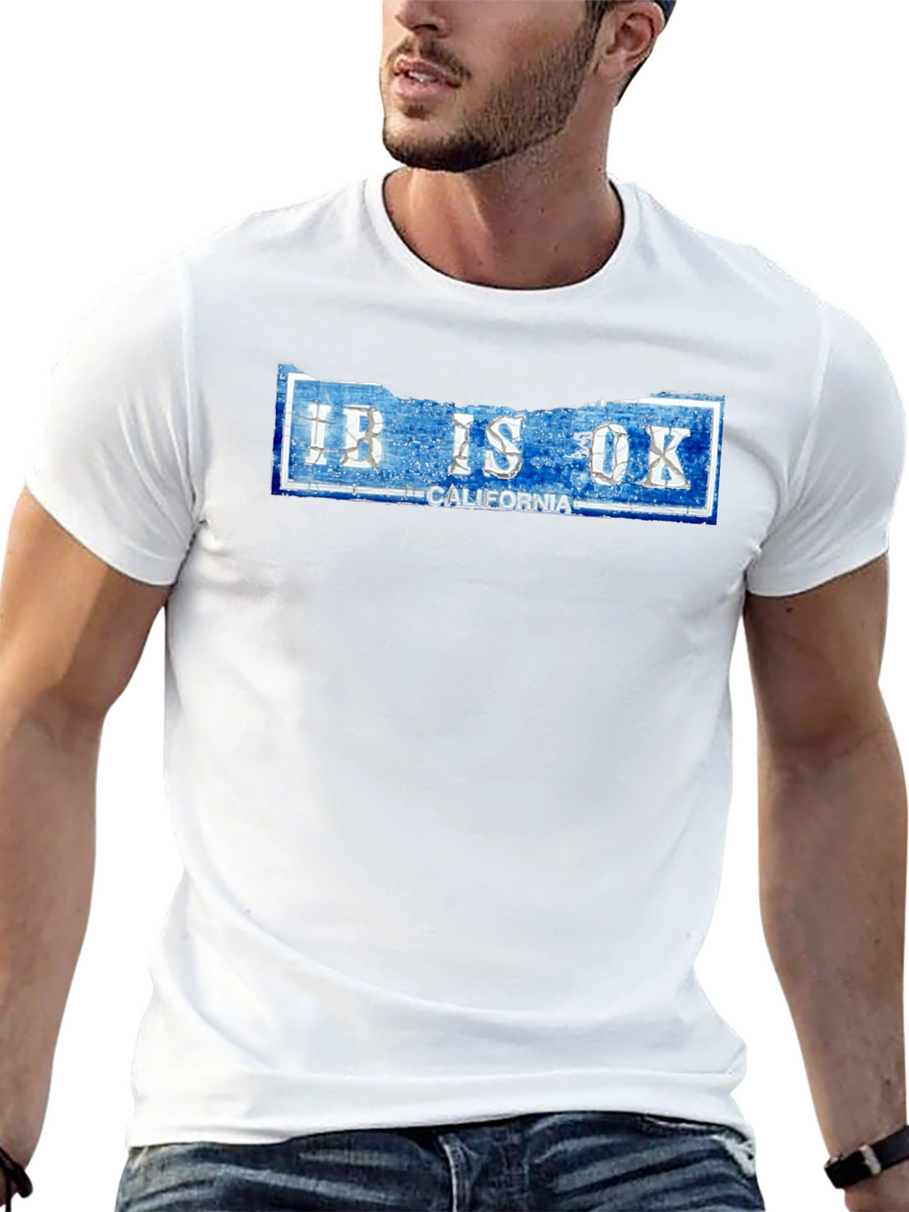 Ibis OK California Novelty Graphic T-Shirt