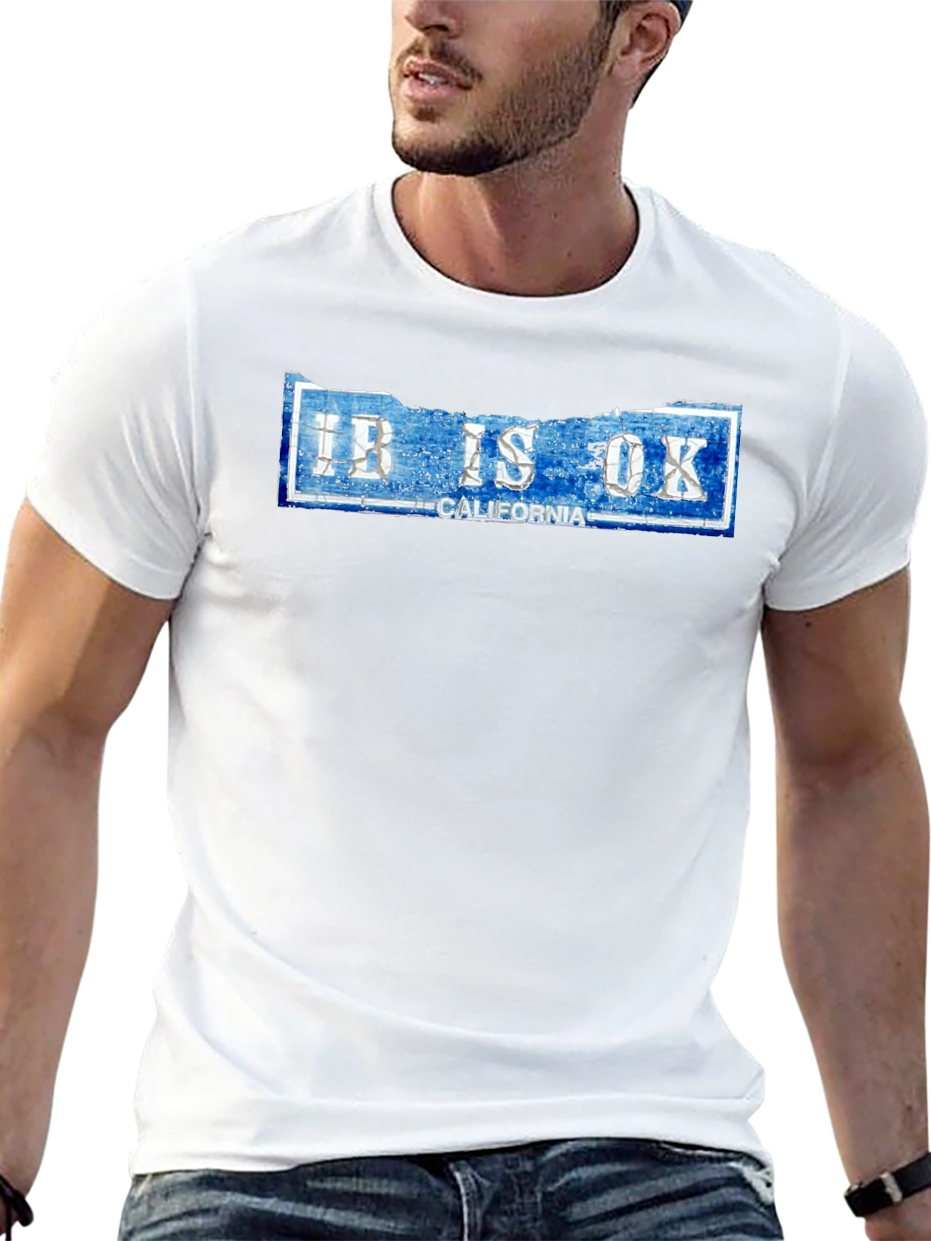 Ibis OK California Novelty Graphic T-Shirt