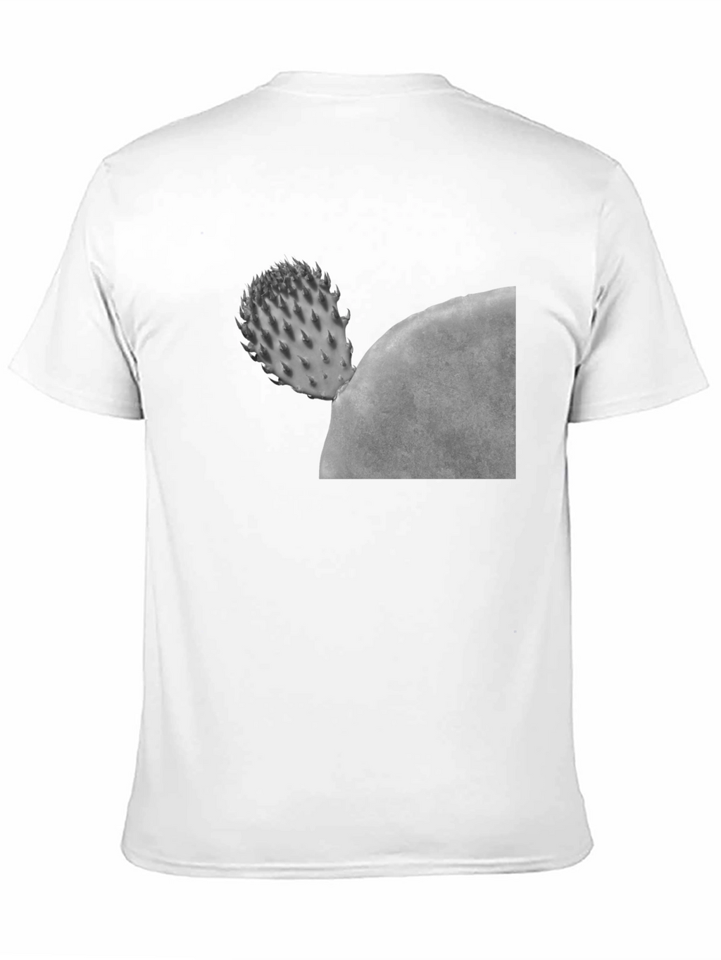 Cactus Graphic Black T-Shirt - Unisex Casual Tee