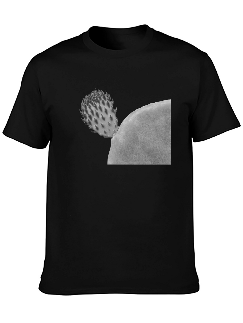 Cactus Graphic Black T-Shirt - Unisex Casual Tee