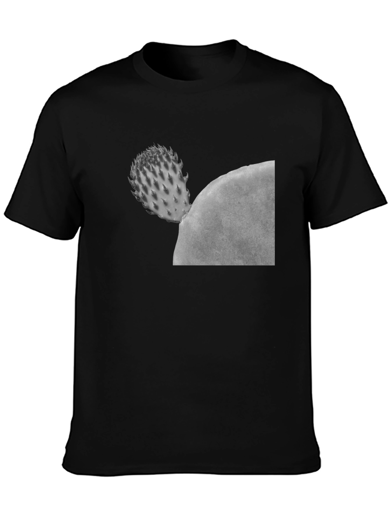 Cactus Graphic Black T-Shirt - Unisex Casual Tee