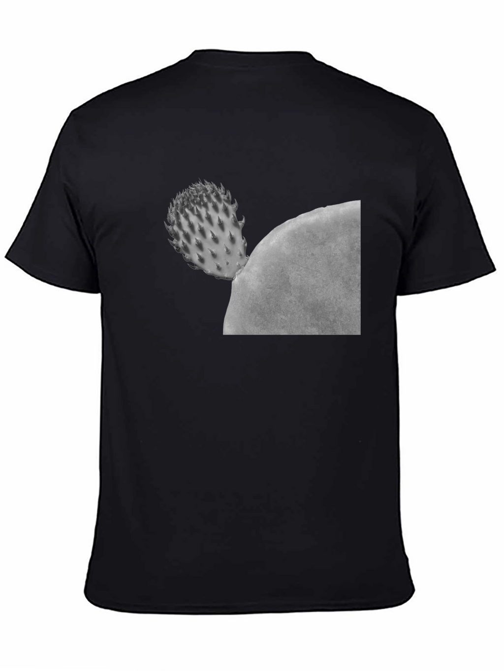 Cactus Graphic Black T-Shirt - Unisex Casual Tee
