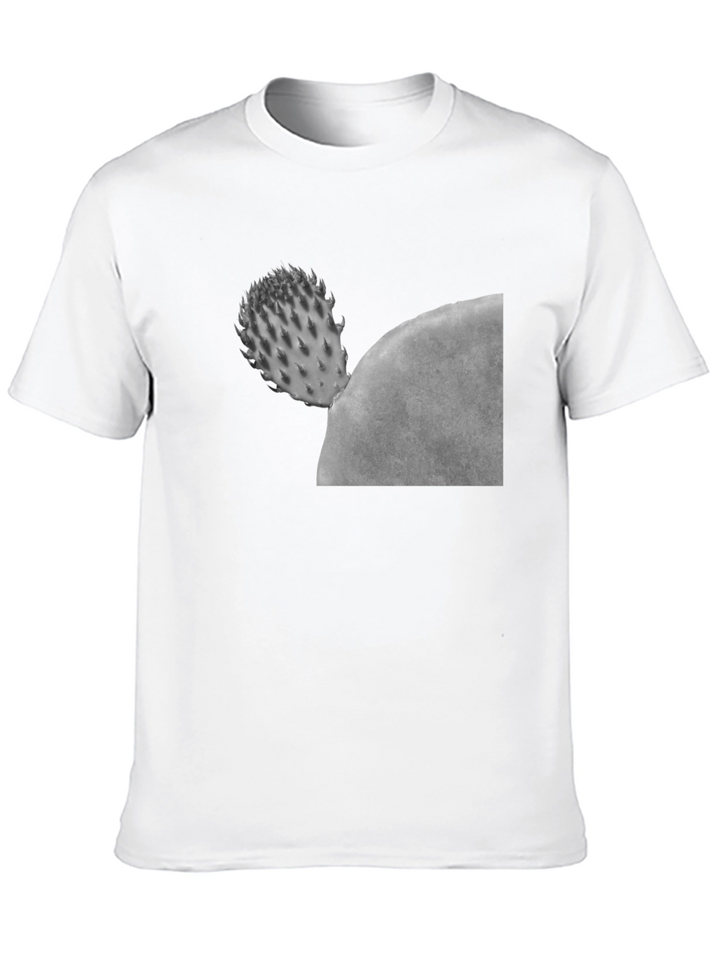 Cactus Graphic Black T-Shirt - Unisex Casual Tee