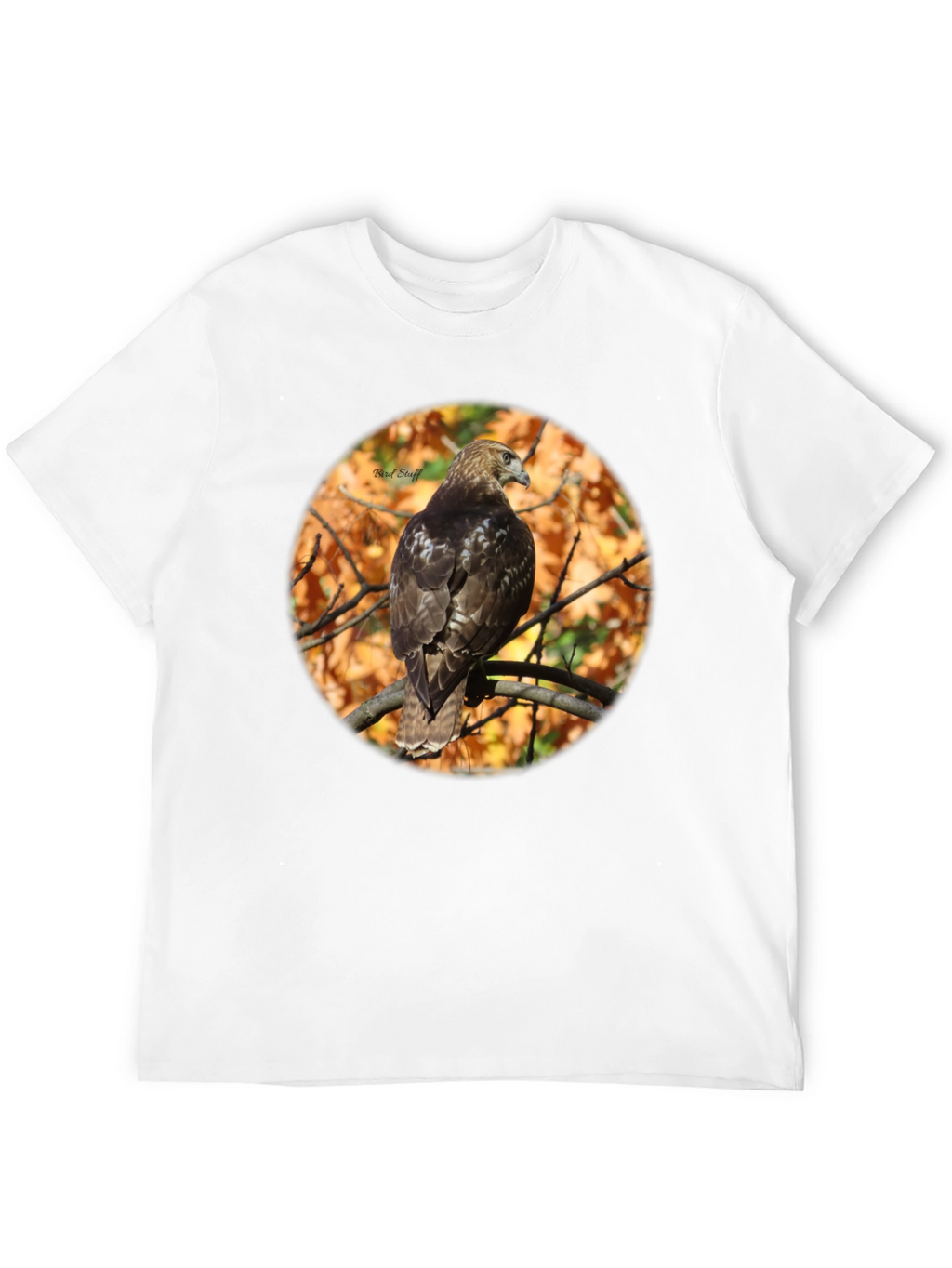 Hawk on Branch Graphic Tee