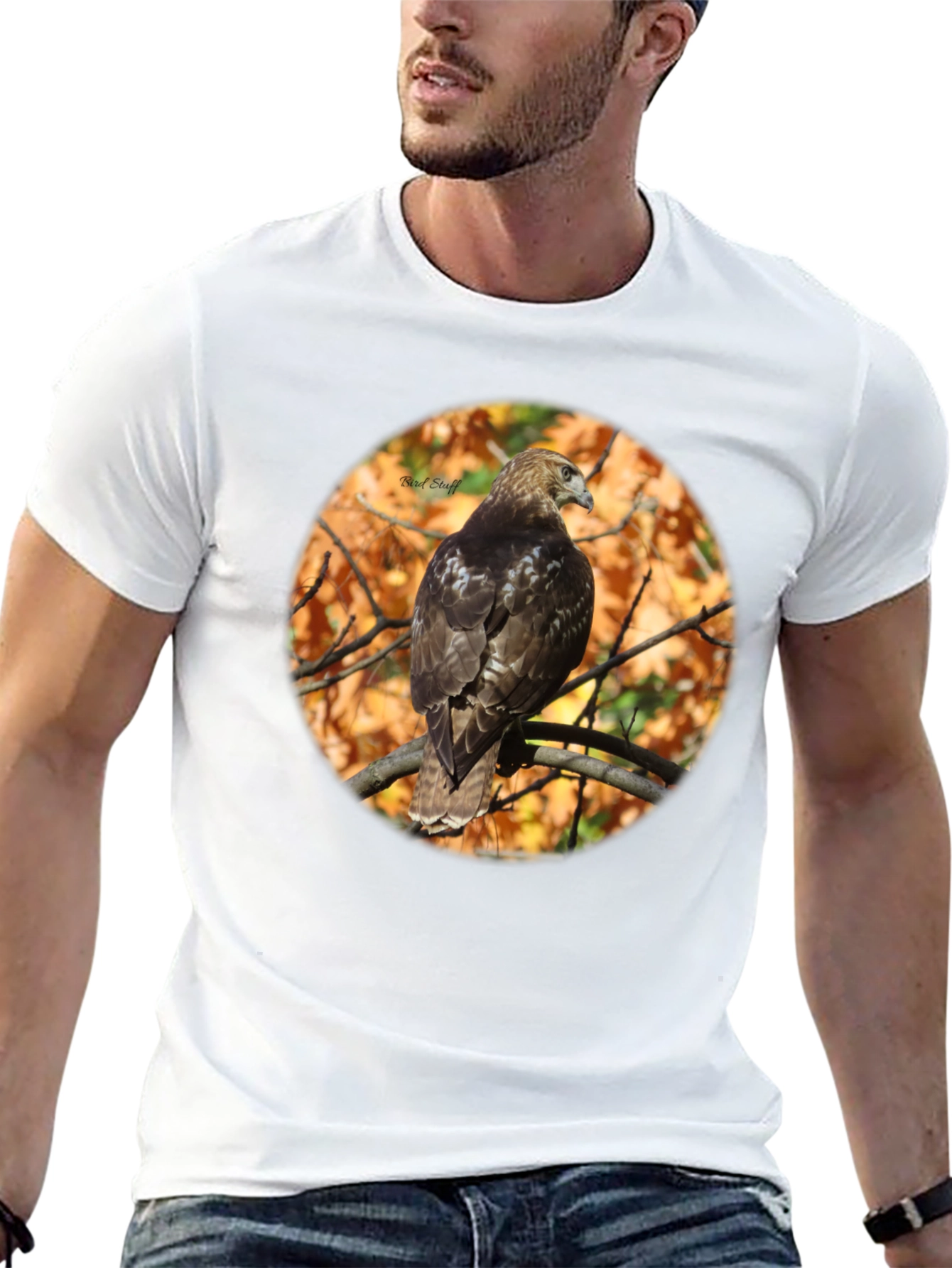 Hawk on Branch Graphic Tee