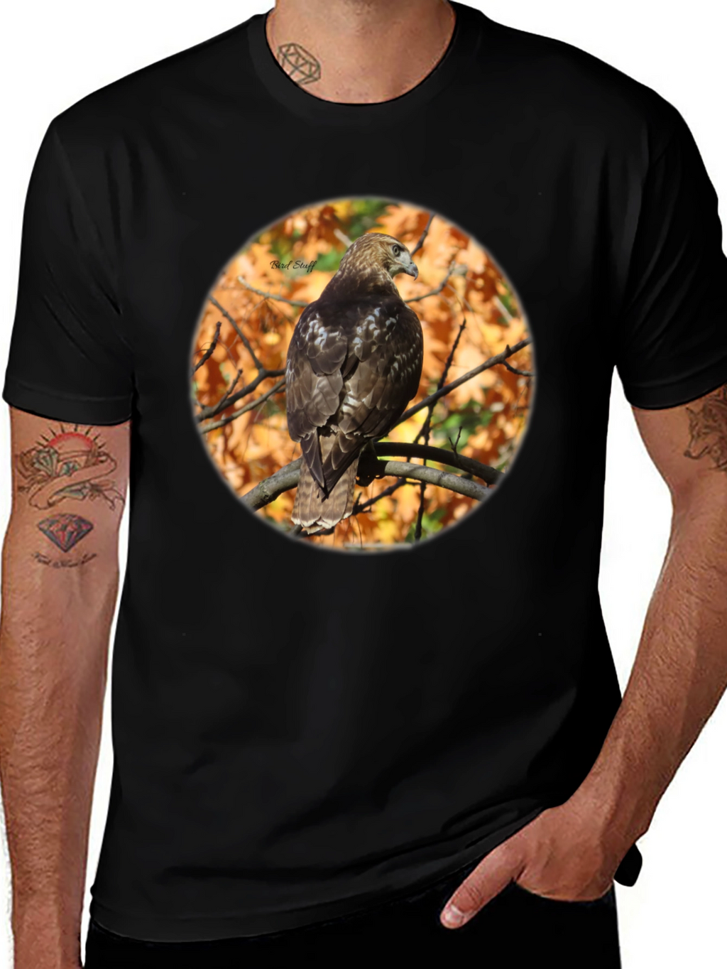 Hawk on Branch Graphic Tee