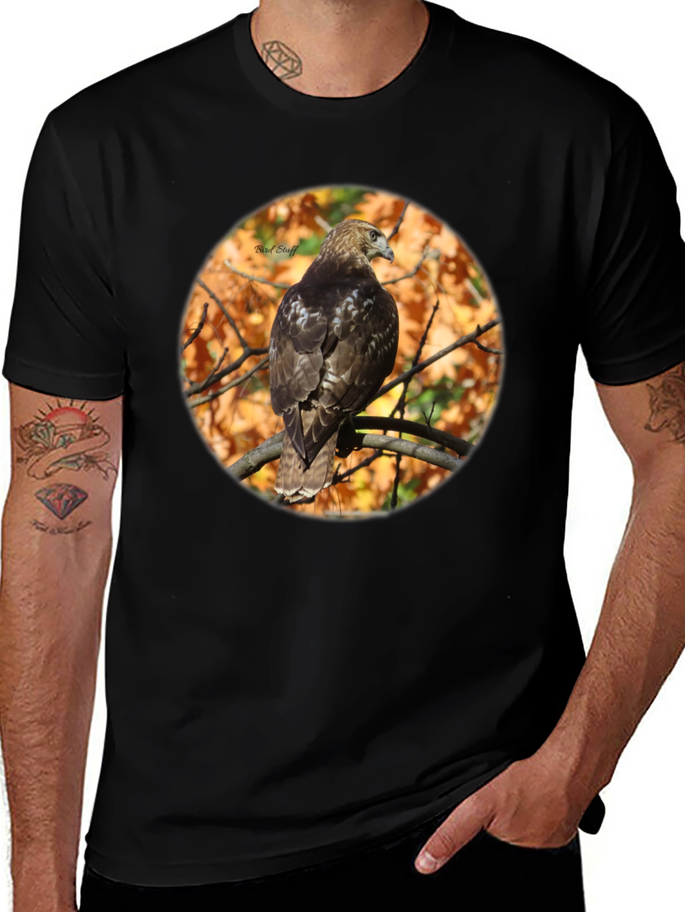 Hawk on Branch Graphic Tee