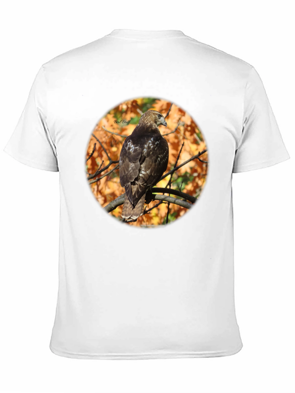 Hawk on Branch Graphic Tee