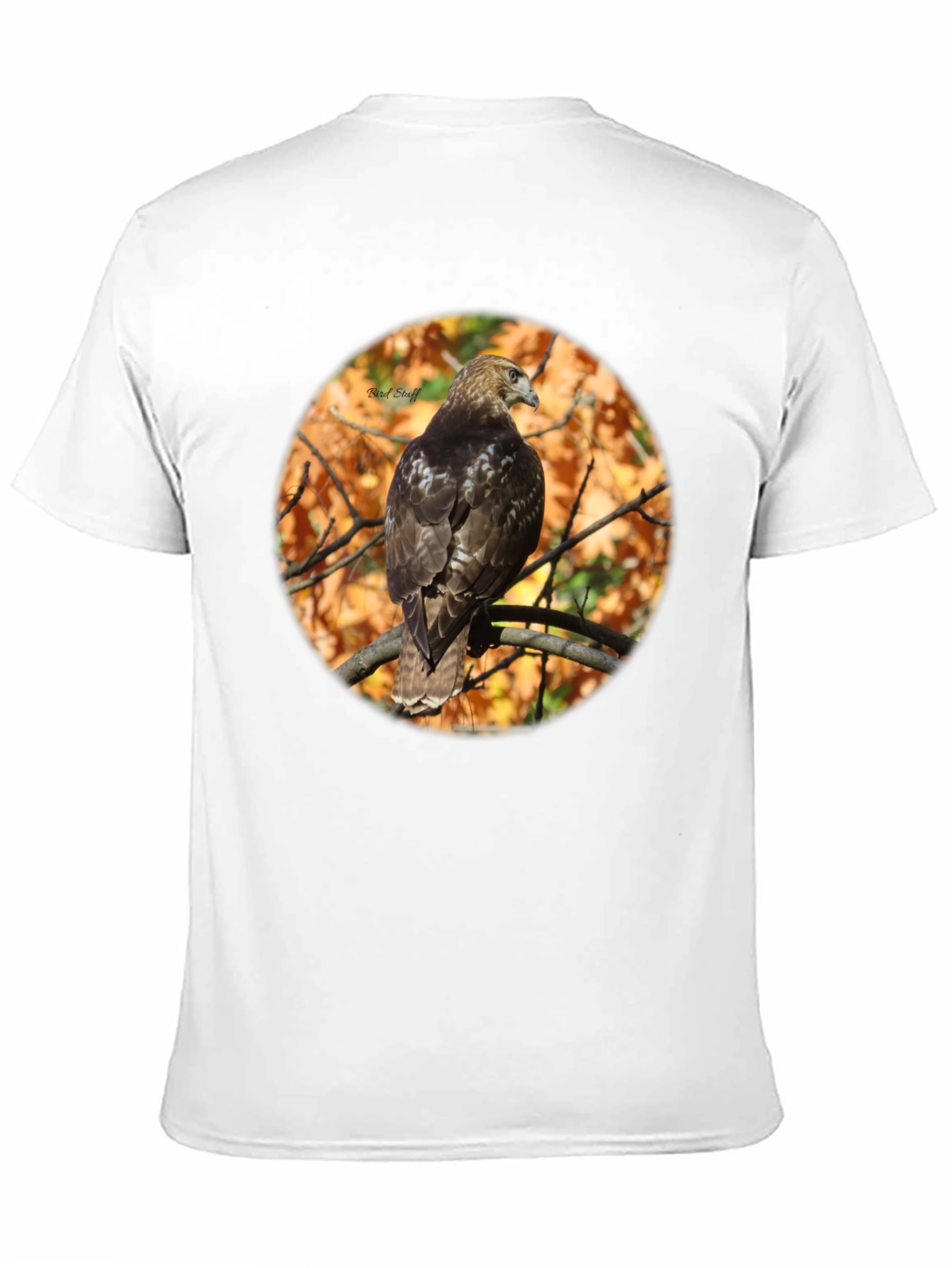 Hawk on Branch Graphic Tee