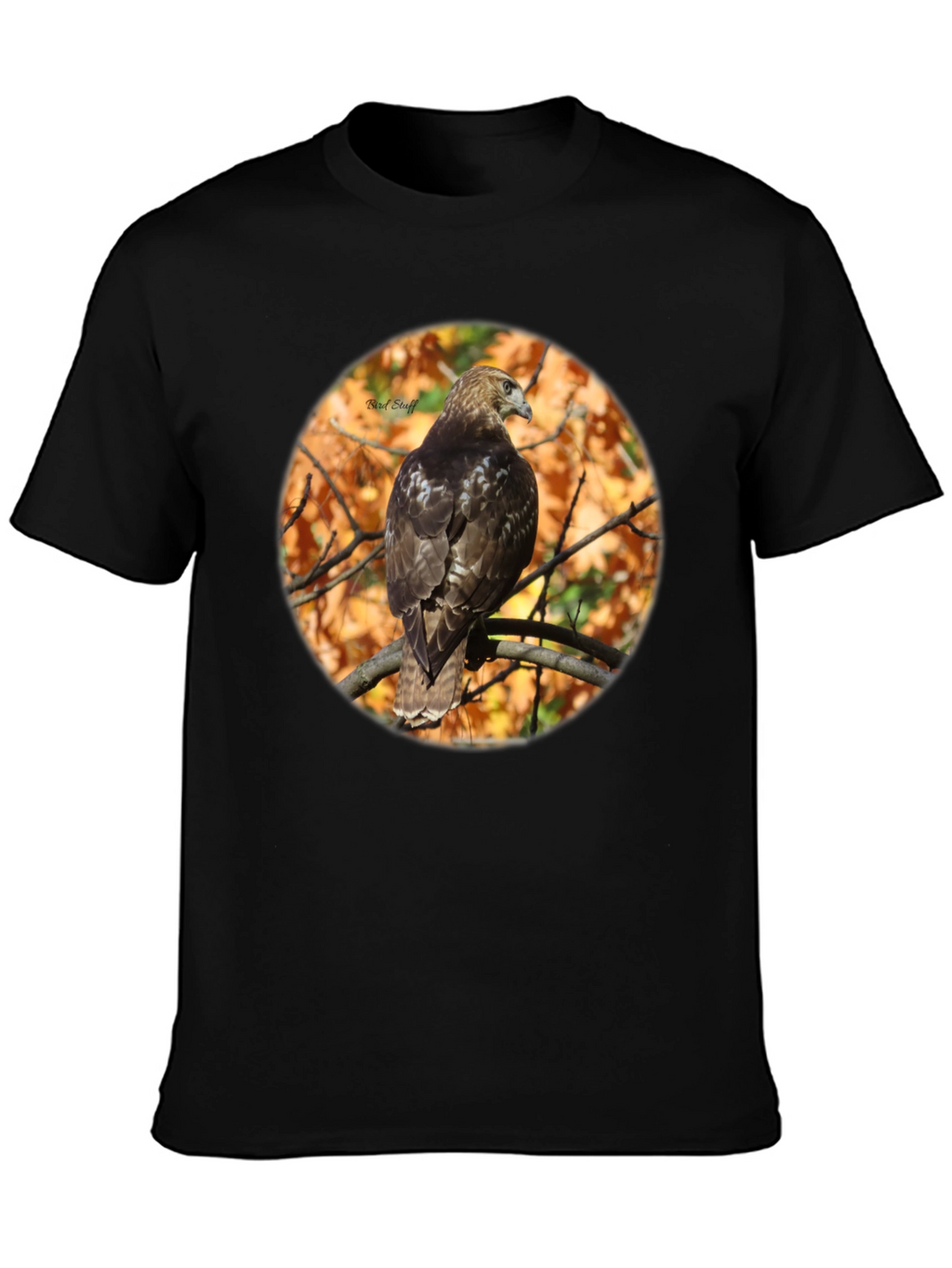 Hawk on Branch Graphic Tee