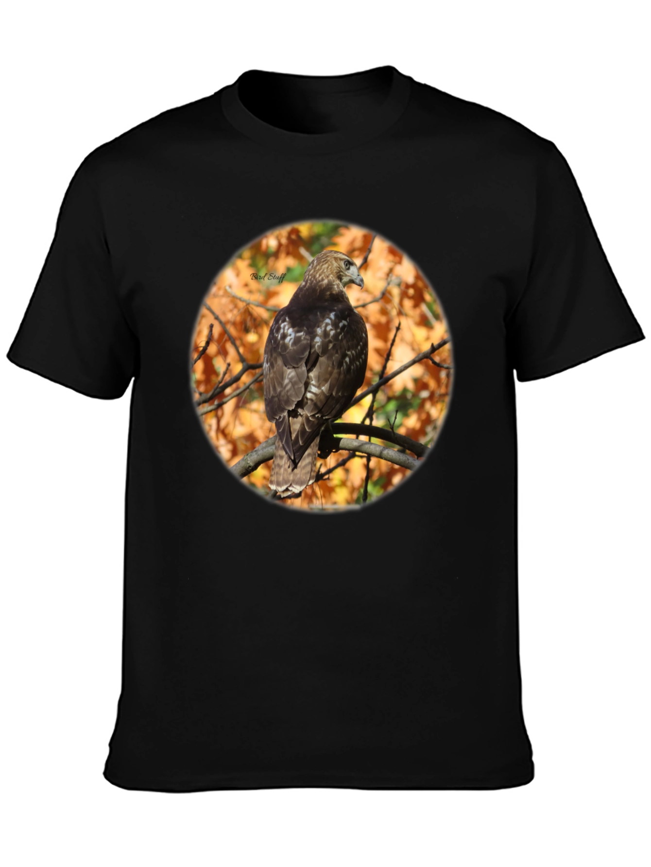 Hawk on Branch Graphic Tee