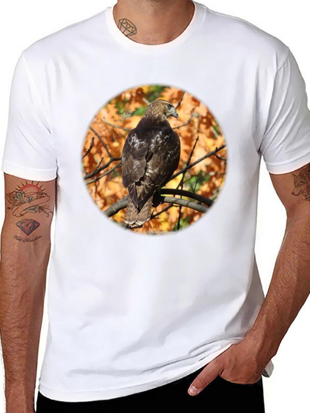 Hawk on Branch Graphic Tee