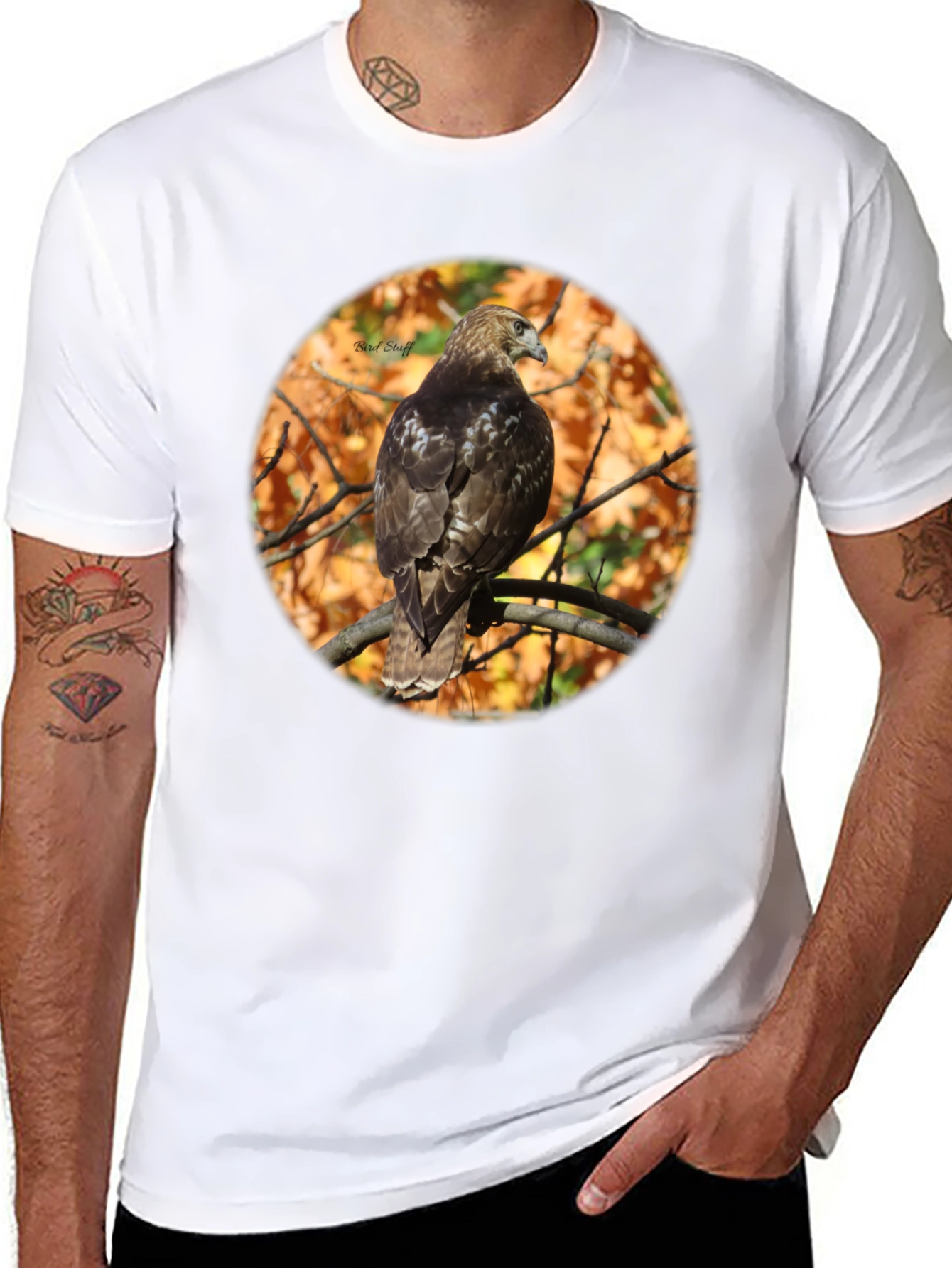 Hawk on Branch Graphic Tee