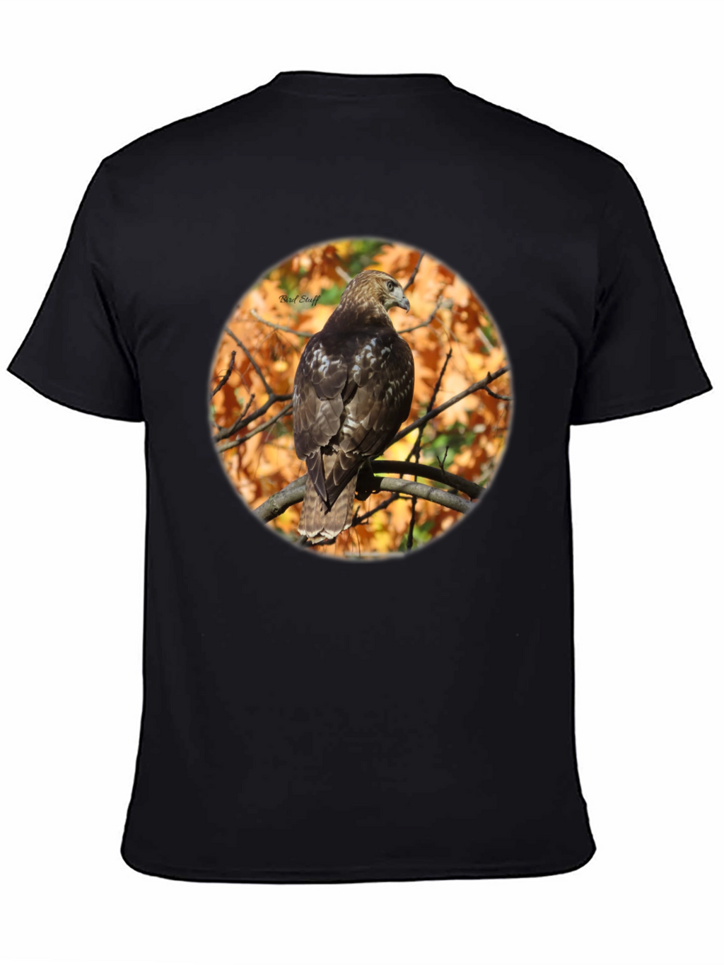 Hawk on Branch Graphic Tee