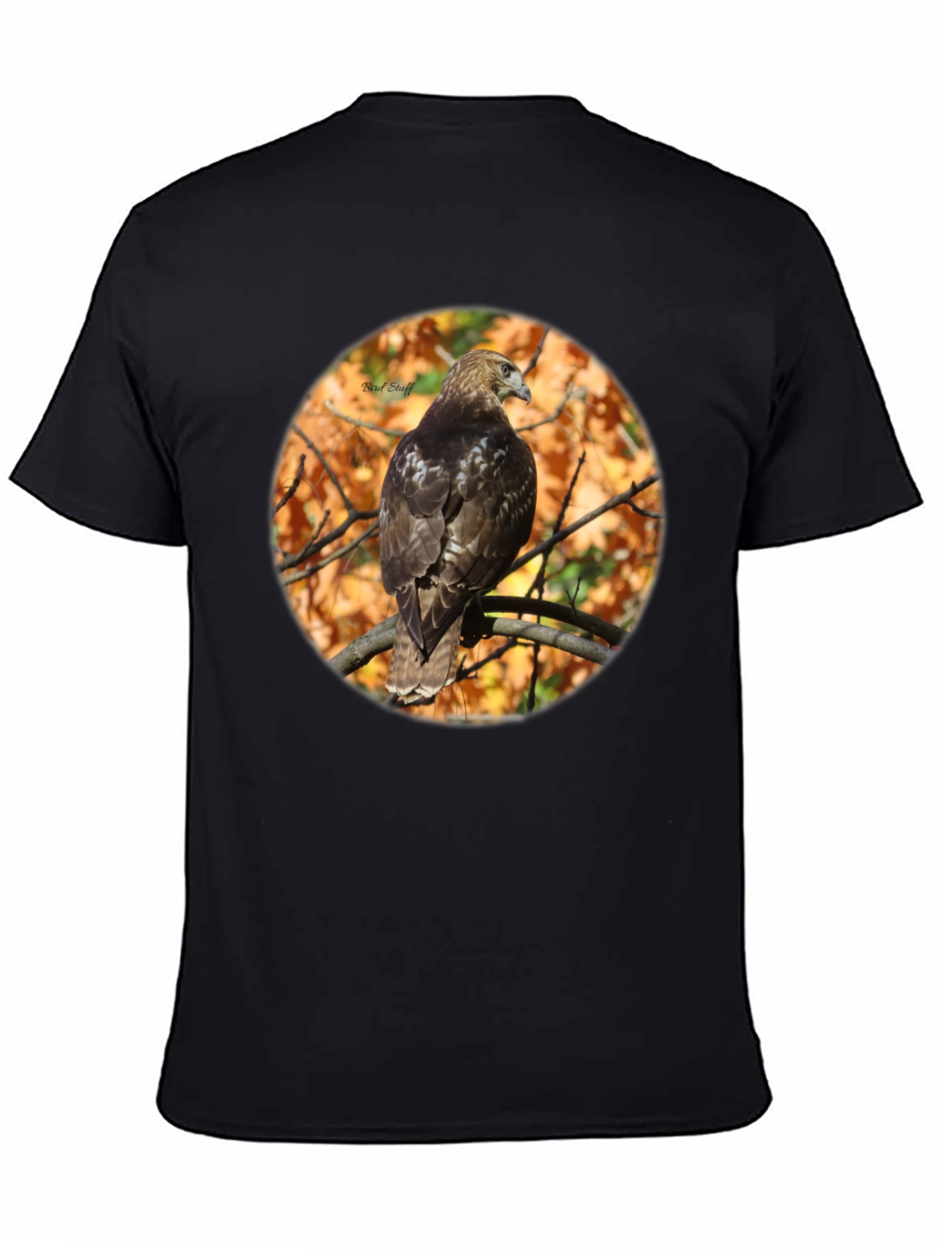 Hawk on Branch Graphic Tee