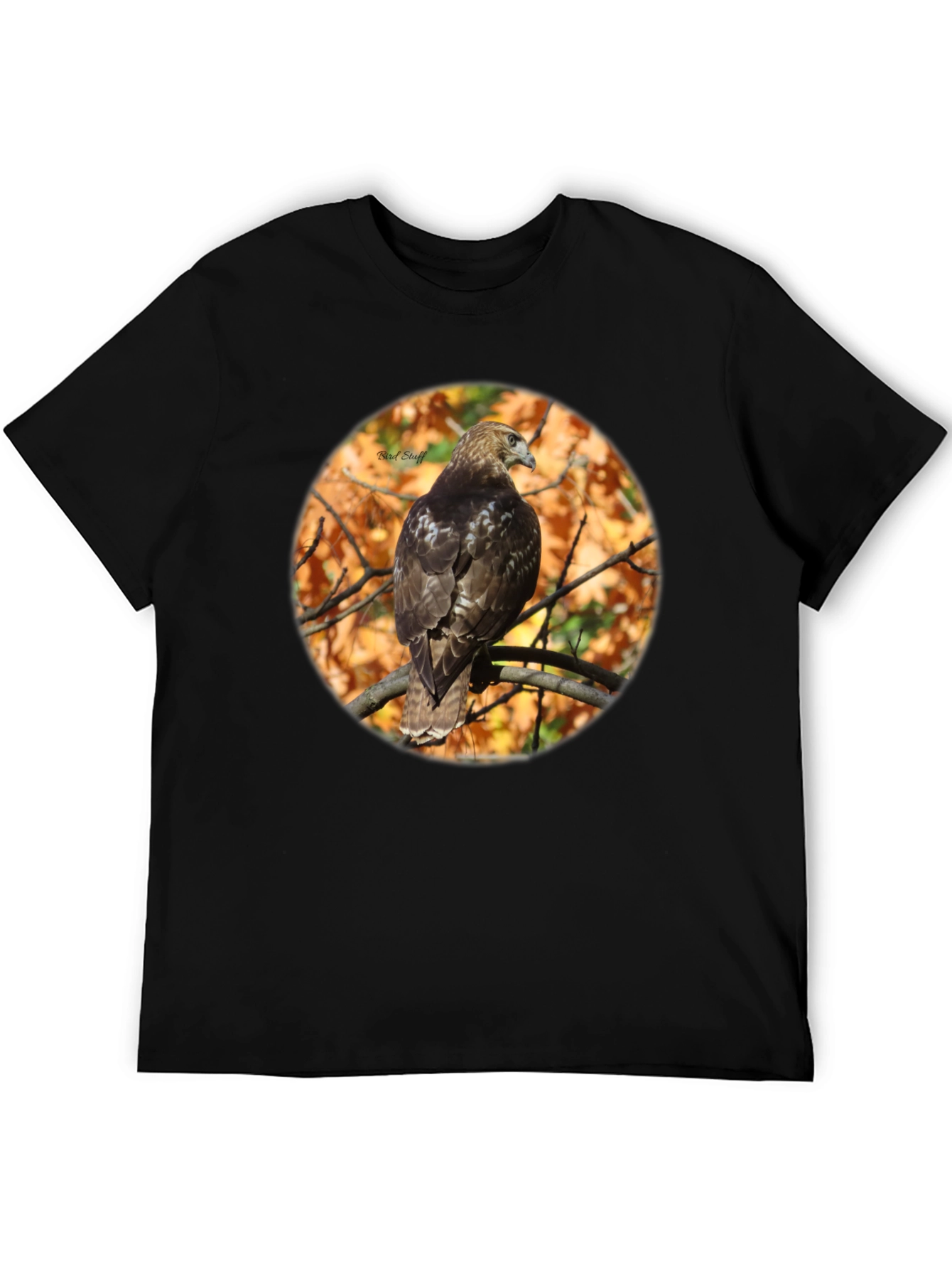 Hawk on Branch Graphic Tee