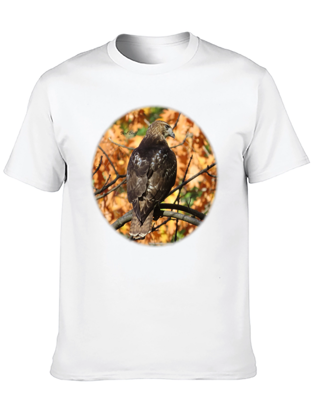 Hawk on Branch Graphic Tee