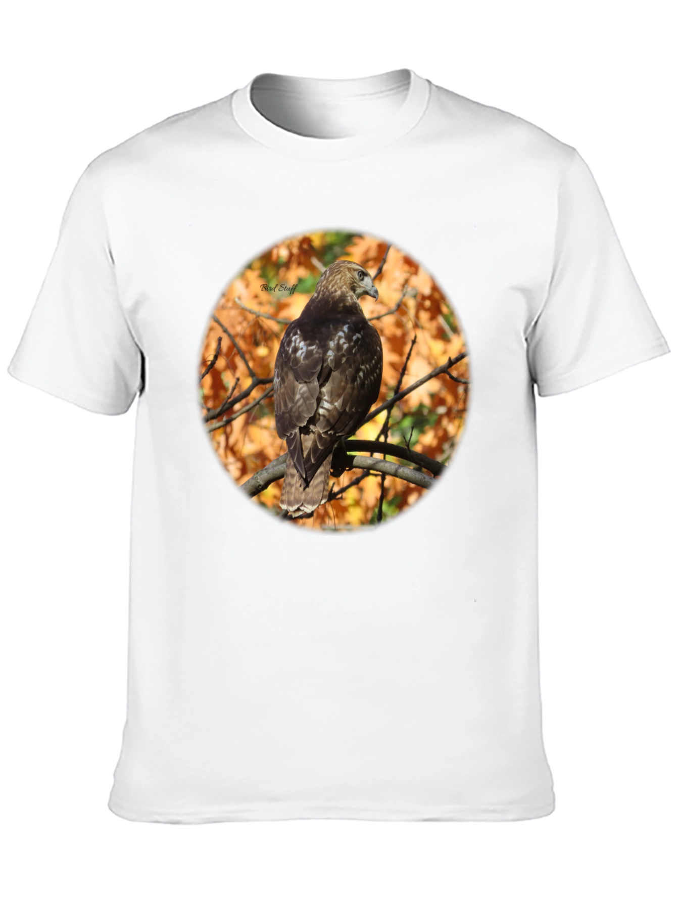 Hawk on Branch Graphic Tee
