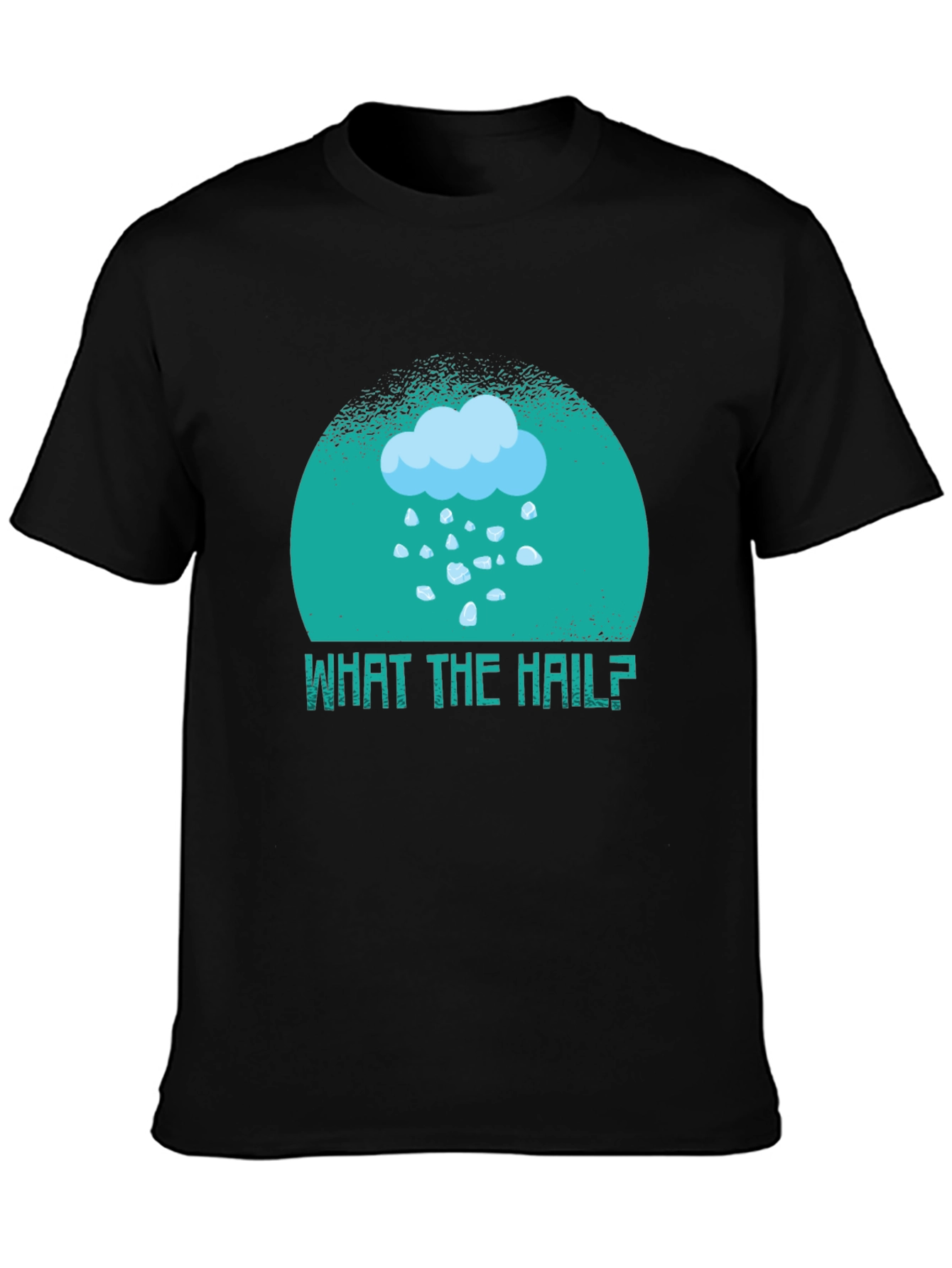 What the Hail? Graphic T-Shirt - Weather Humor Tee