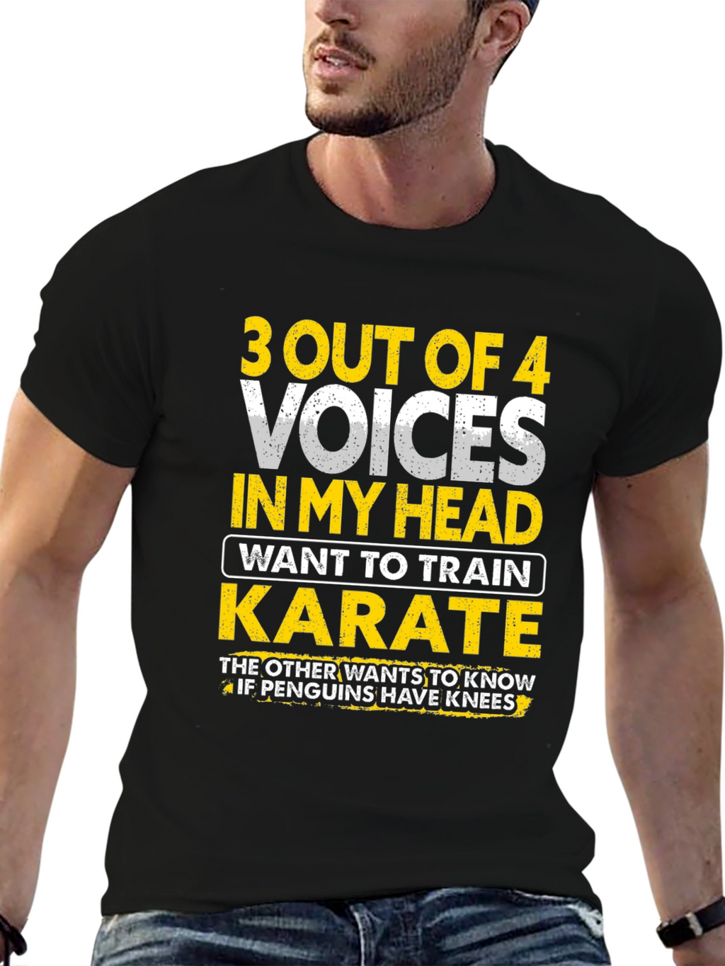 Funny Karate T-Shirt - 3 Out of 4 Voices