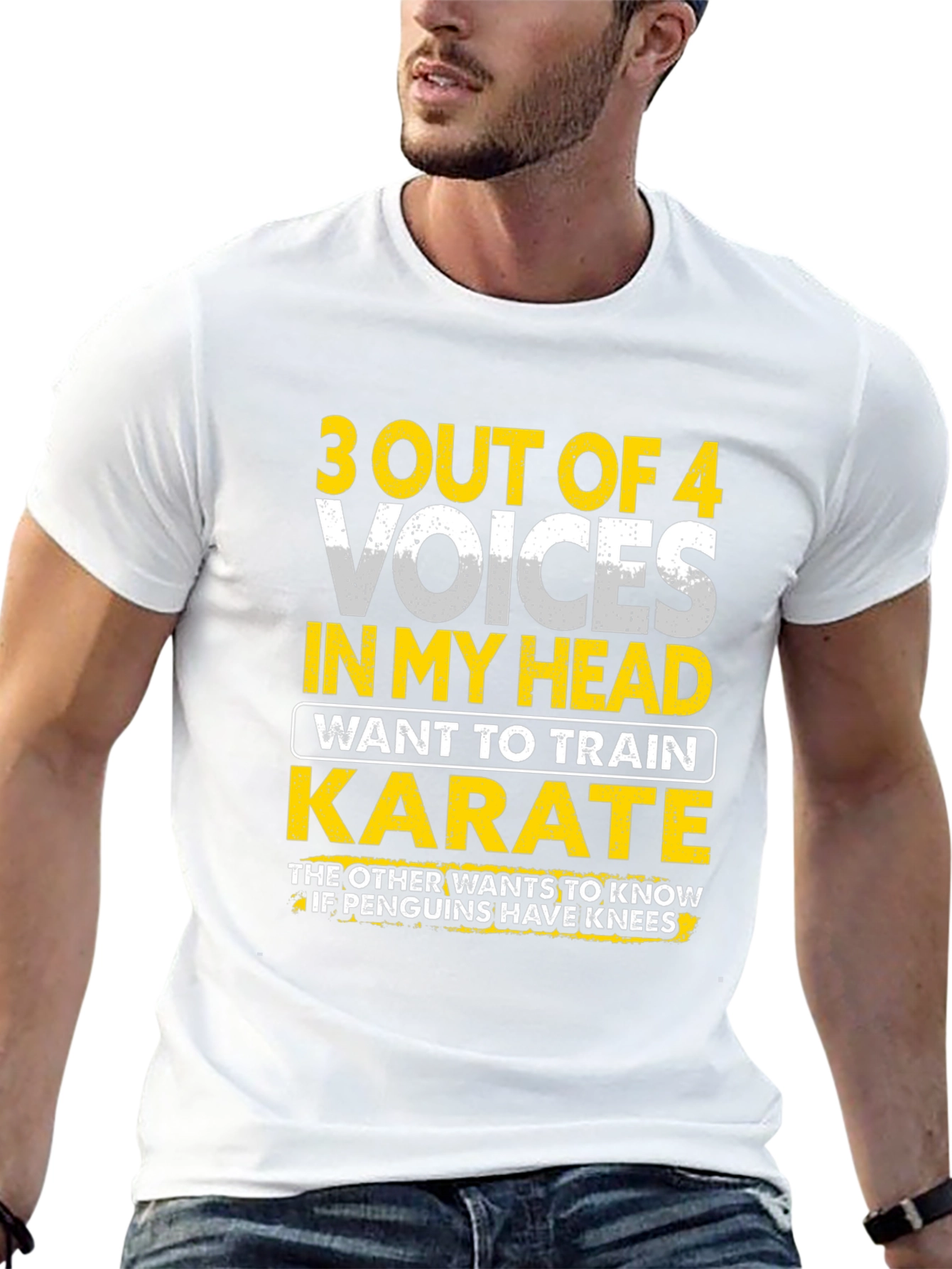 Funny Karate T-Shirt - 3 Out of 4 Voices