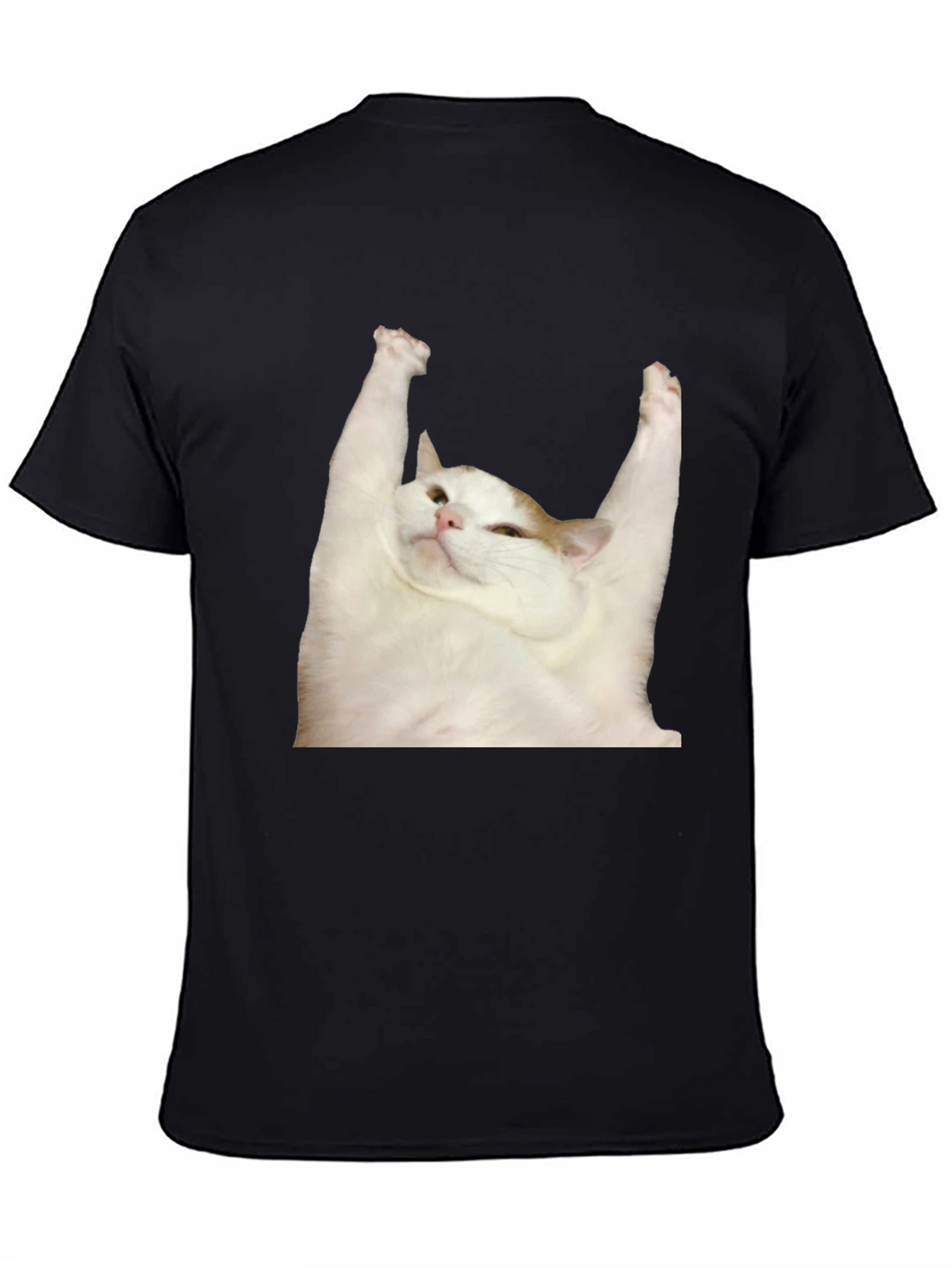 Cat Yoga T-Shirt: Zen Master Tee