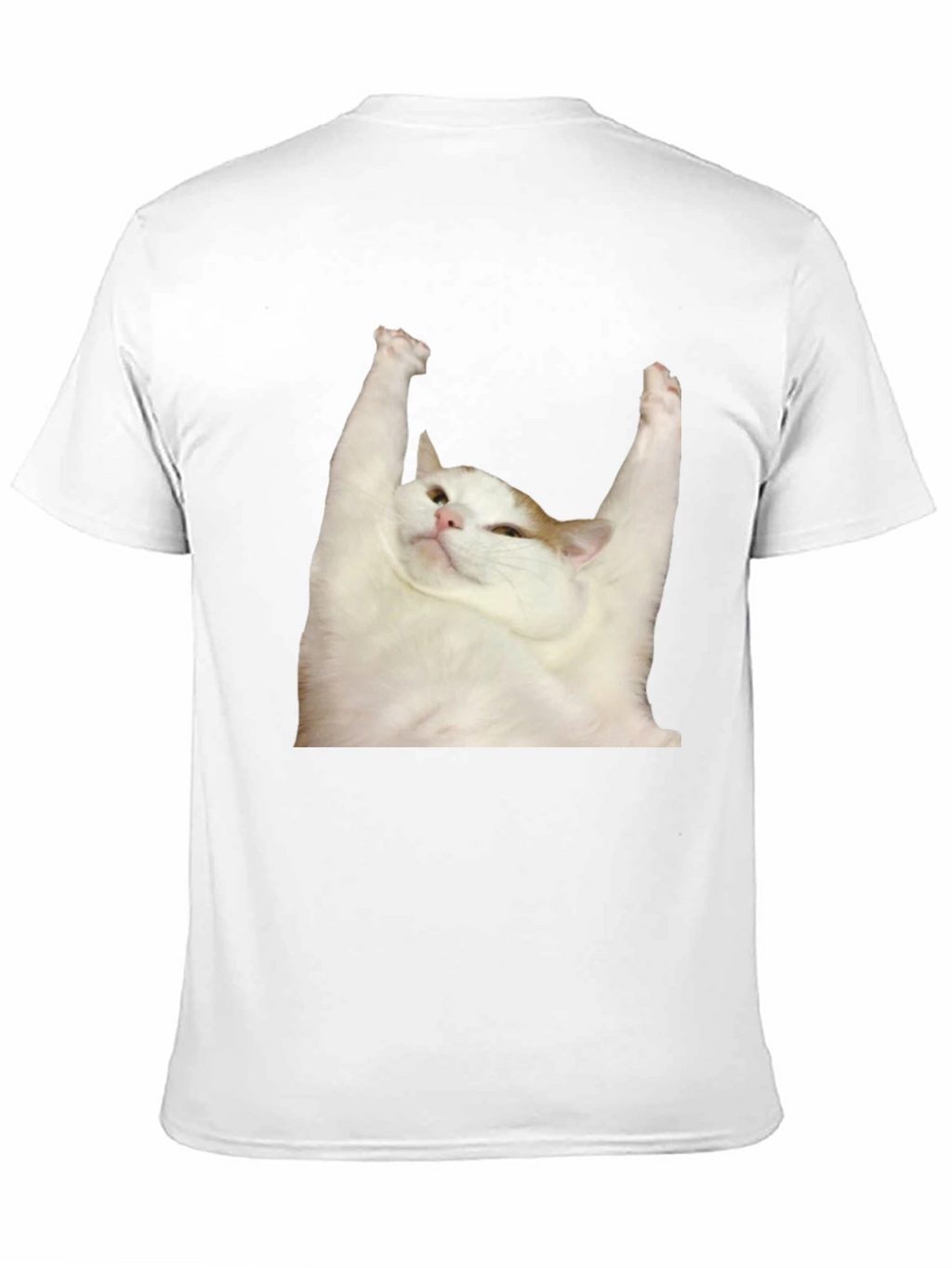 Cat Yoga T-Shirt: Zen Master Tee