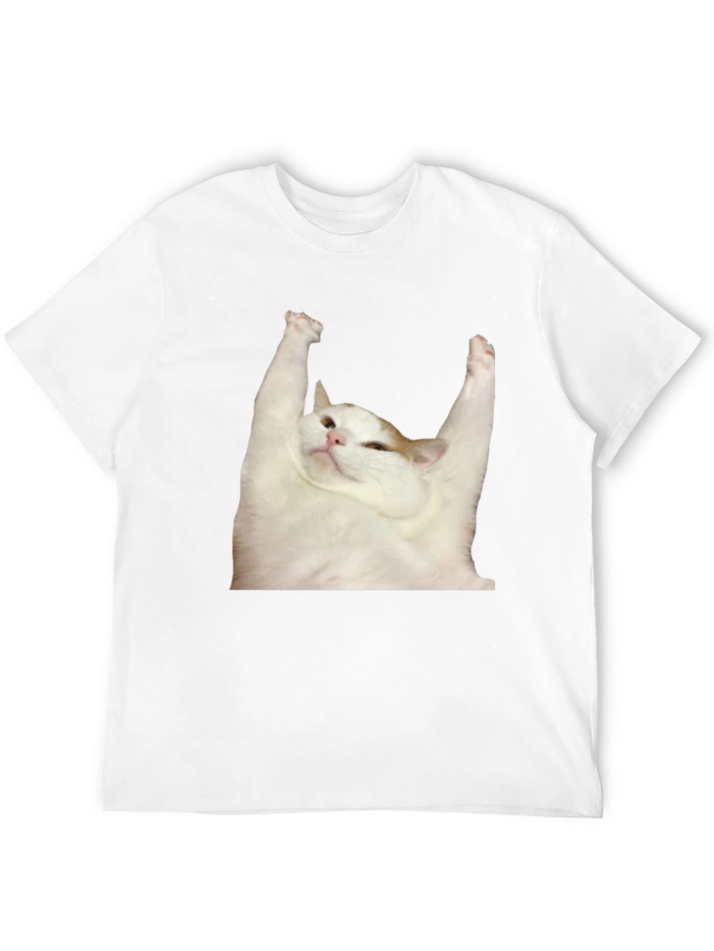 Cat Yoga T-Shirt: Zen Master Tee