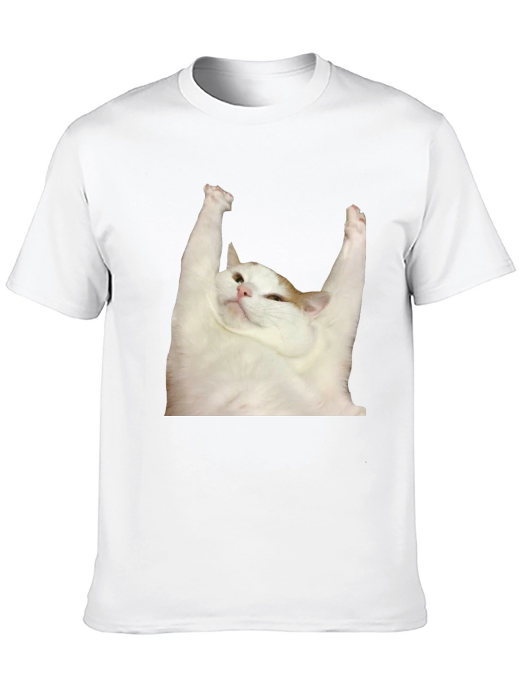 Cat Yoga T-Shirt: Zen Master Tee