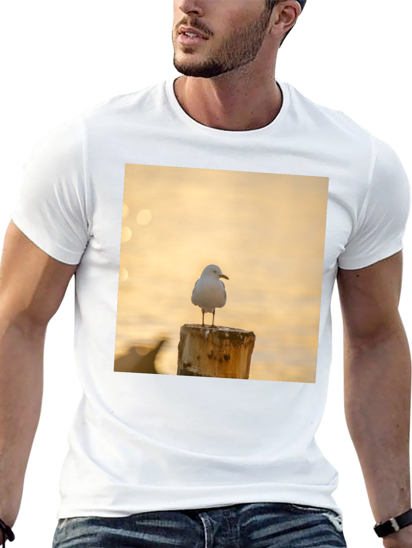 Seagull on Post Black T-Shirt