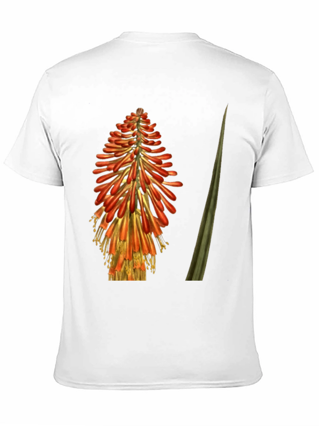 Red Hot Poker Flower Graphic T-Shirt