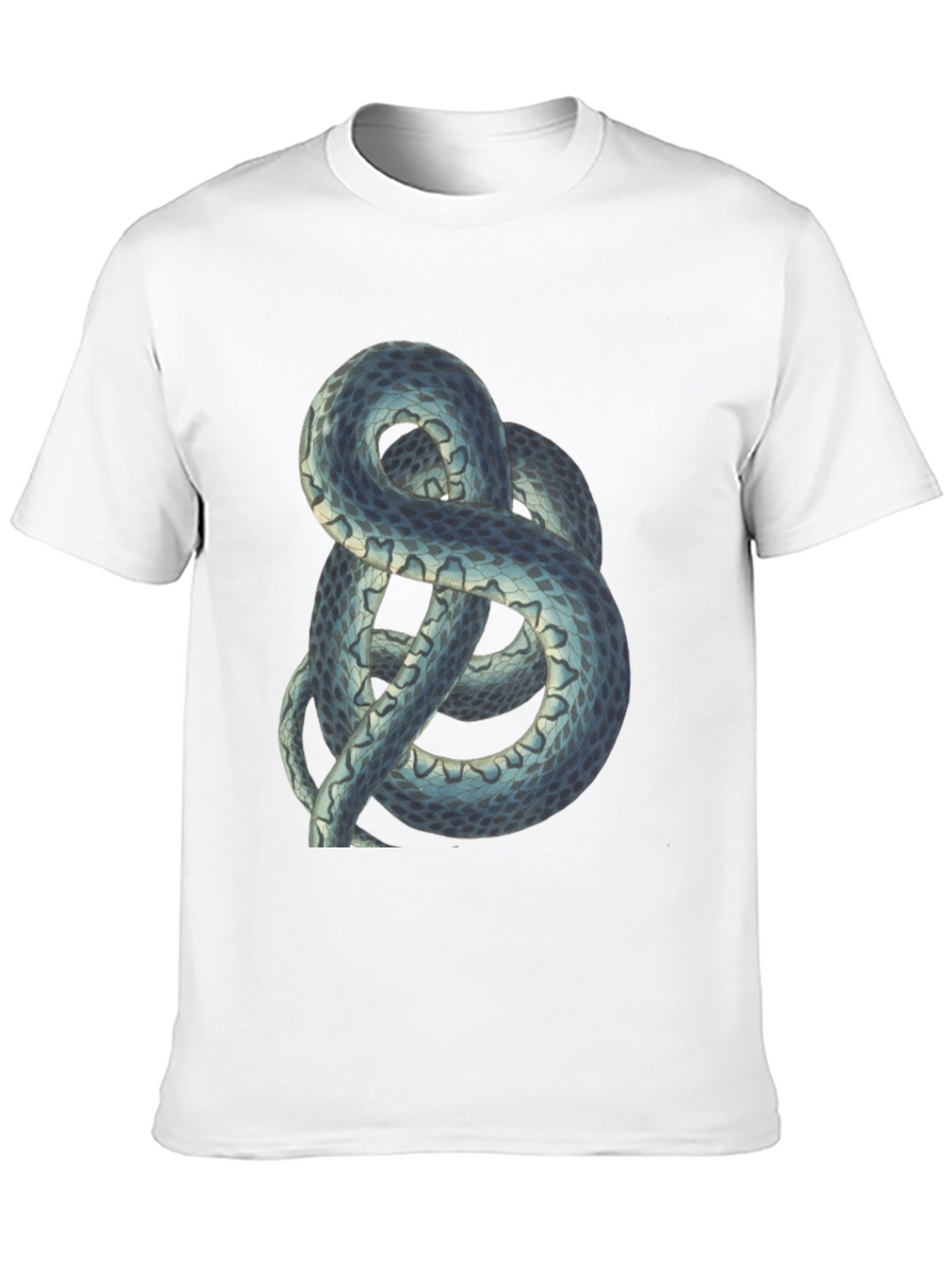 Snake Graphic Tee - Cool Reptile Design