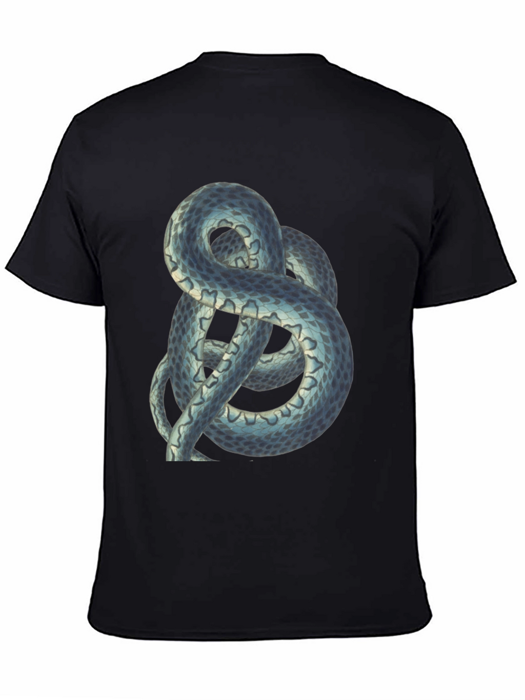 Snake Graphic Tee - Cool Reptile Design