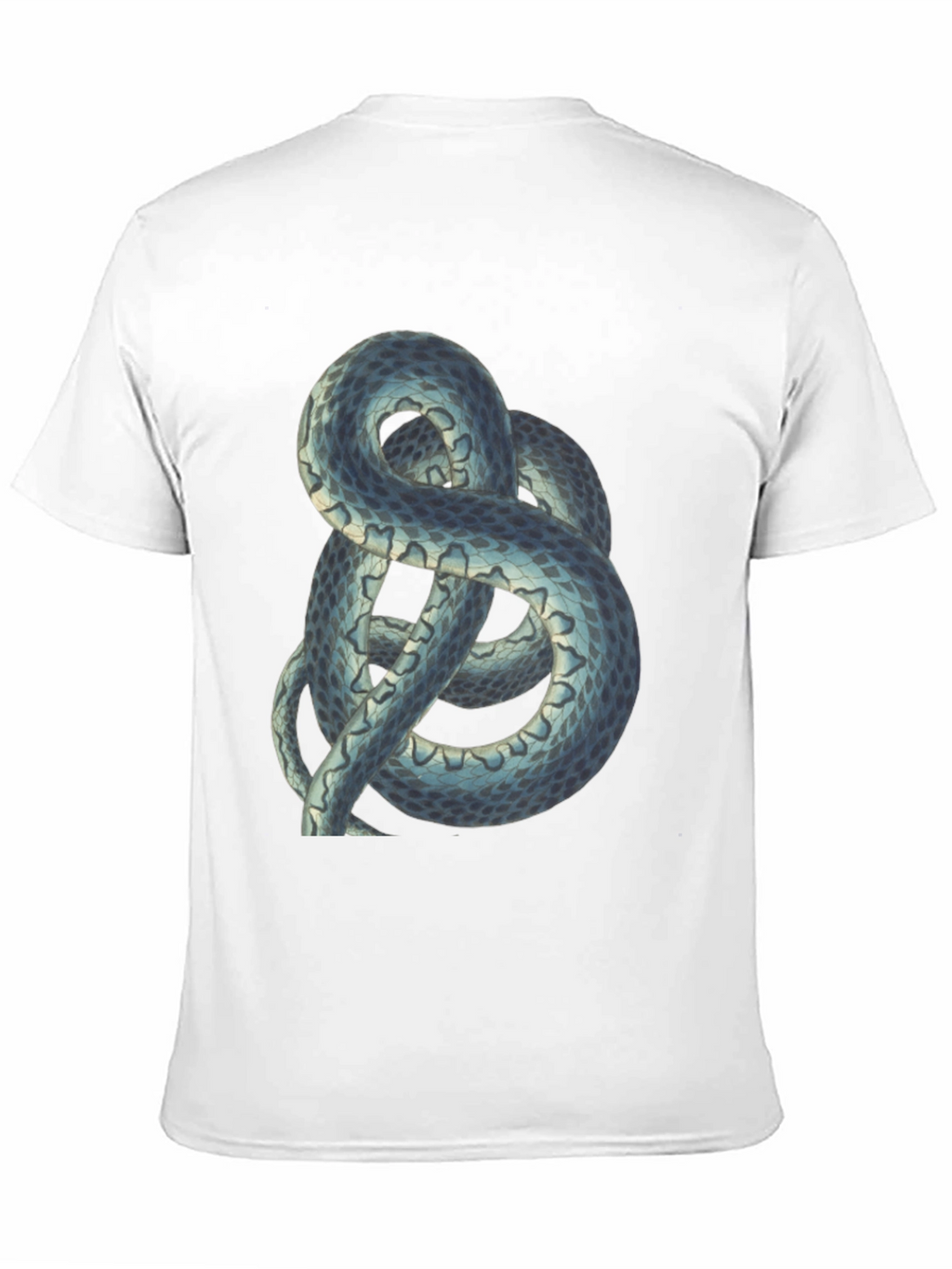 Snake Graphic Tee - Cool Reptile Design