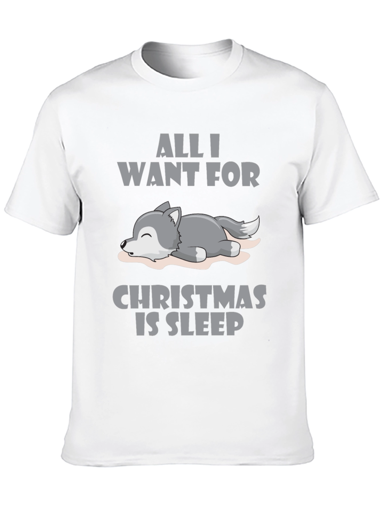All I Want For Christmas Sleep T-Shirt