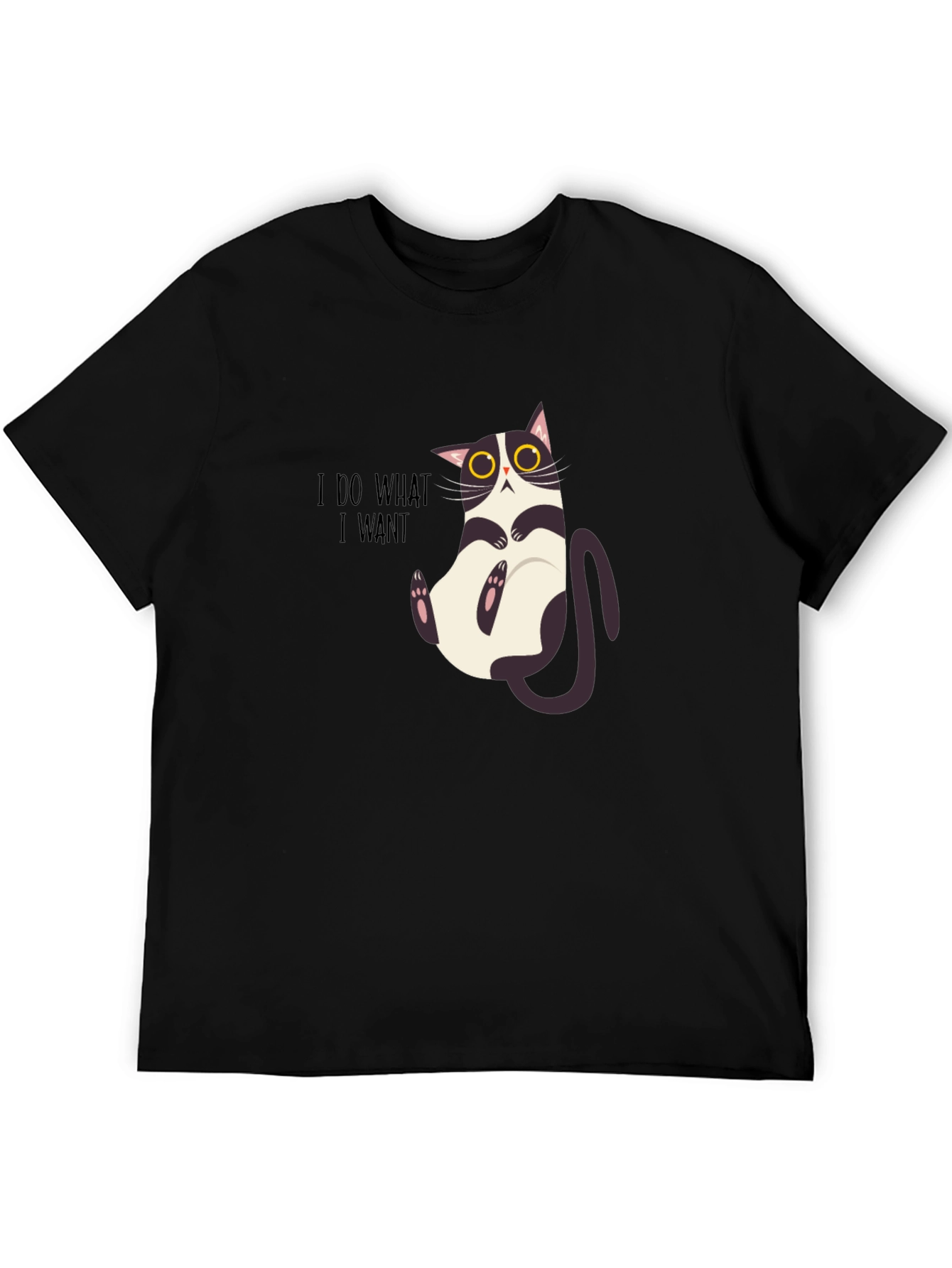 I Do What I Want Funny Cat Graphic Tee