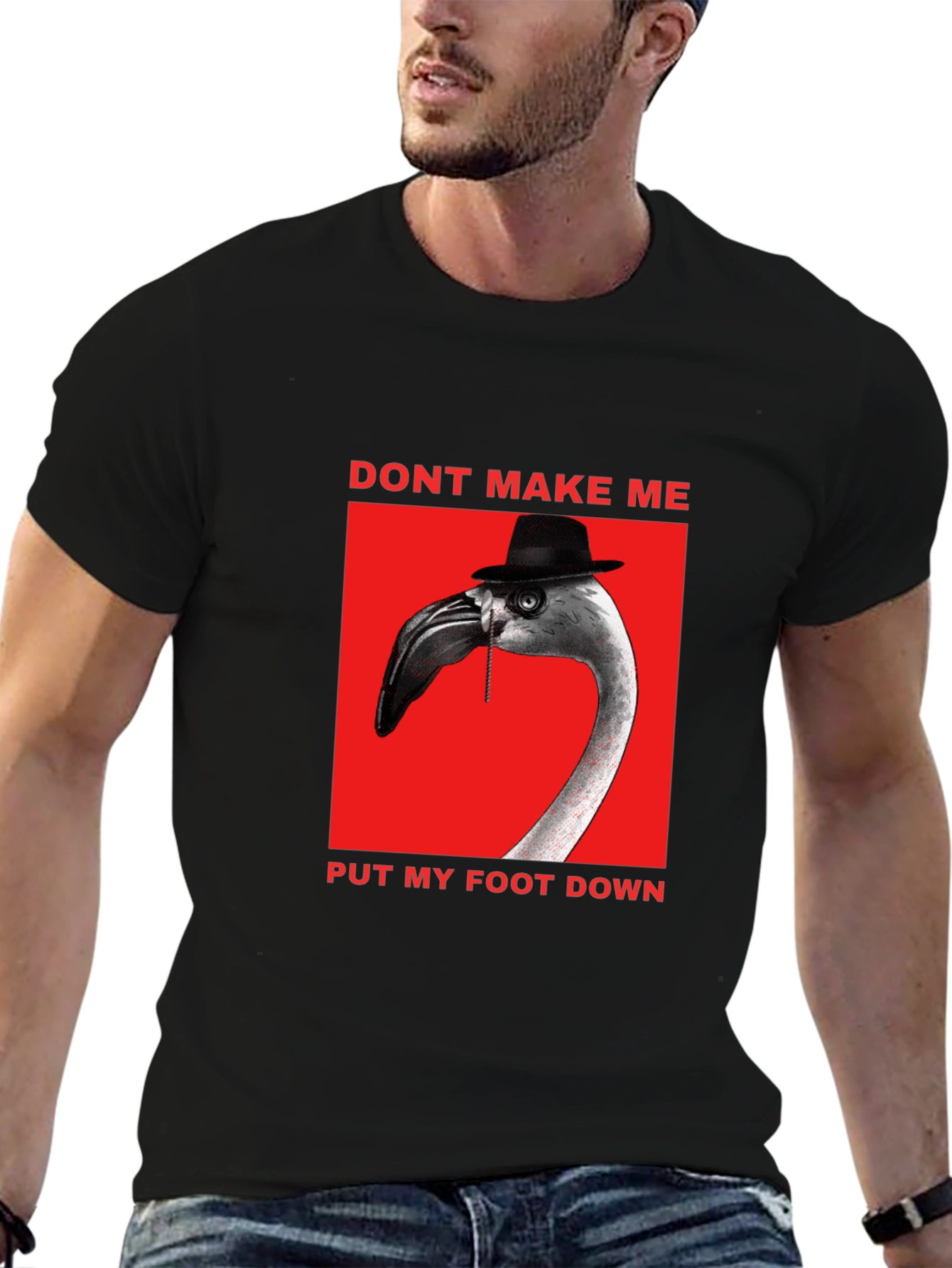 Funny Flamingo Dont Make Me T-Shirt