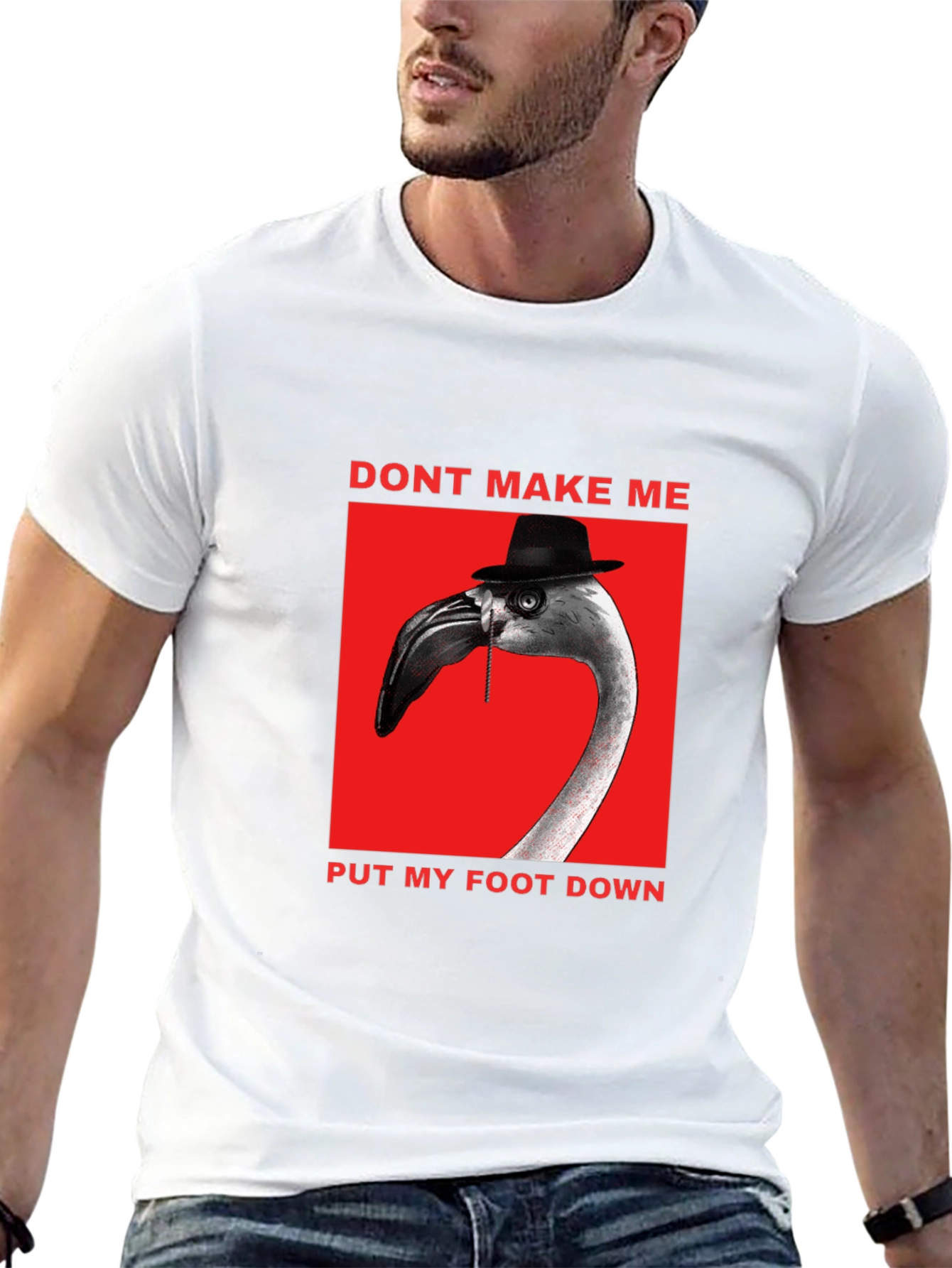 Funny Flamingo Dont Make Me T-Shirt