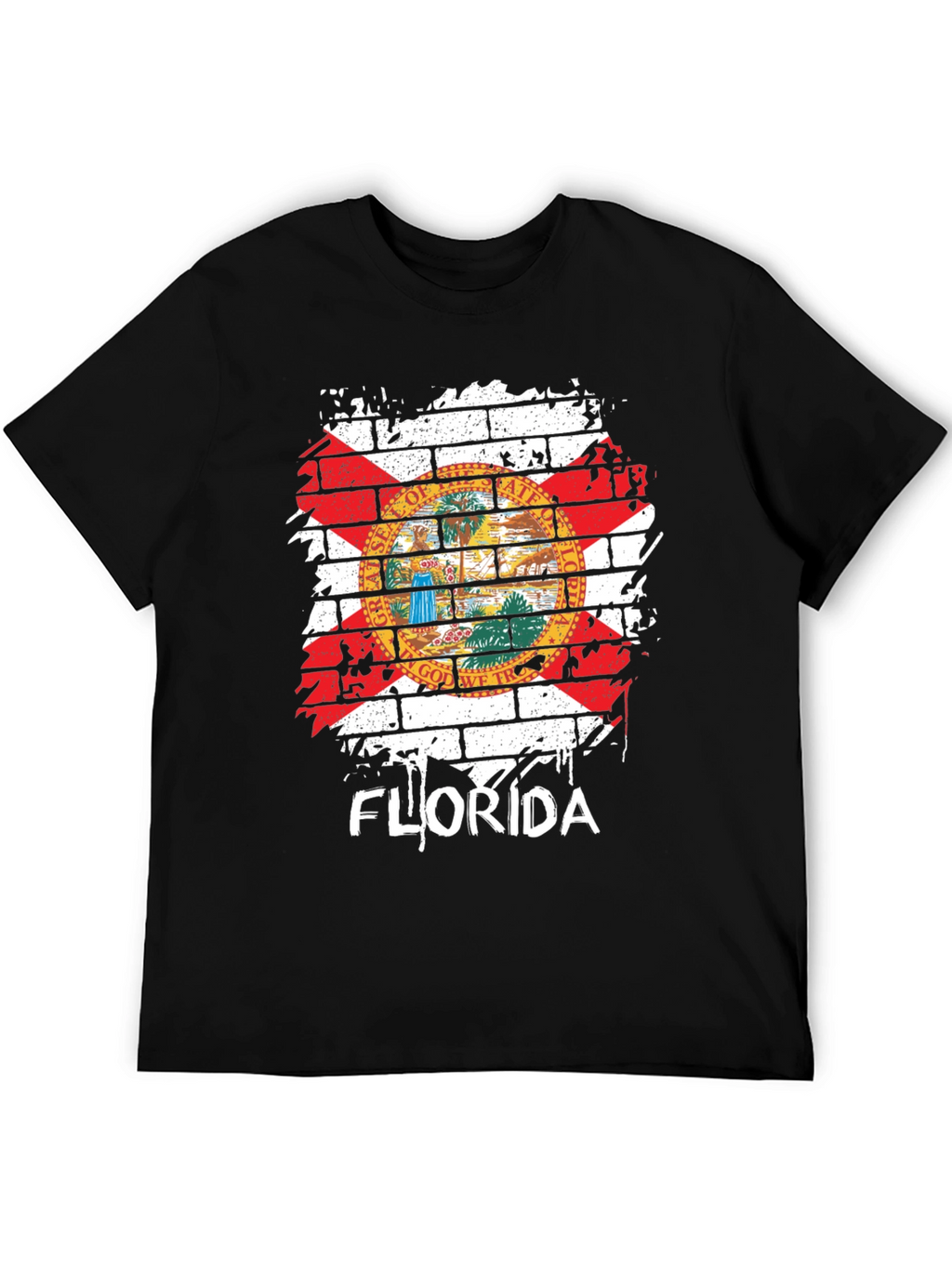 Florida State Flag Graphic T-Shirt