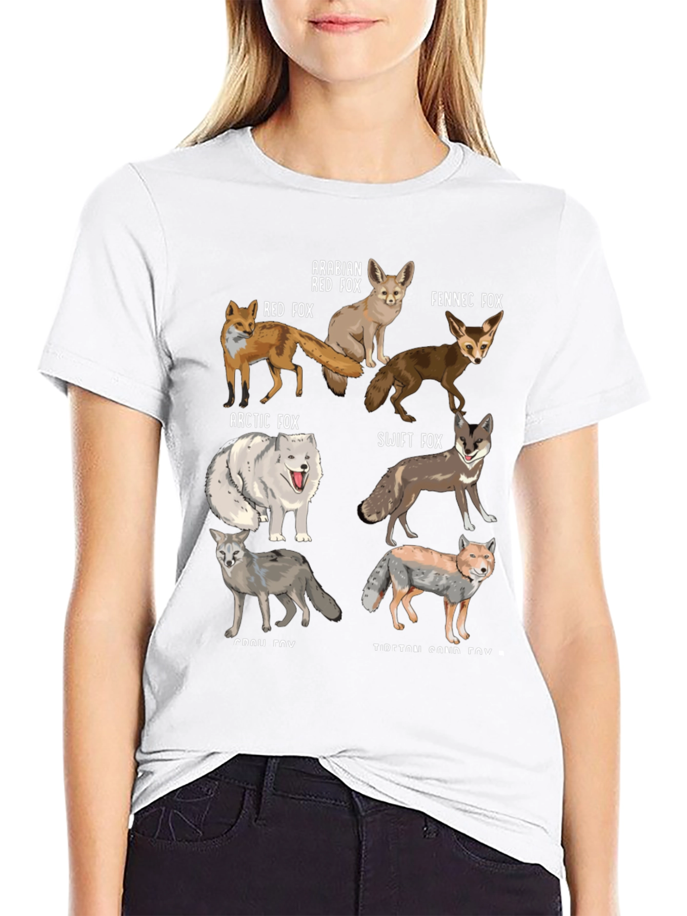 Fox Breeds Graphic Print Mens T-Shirt