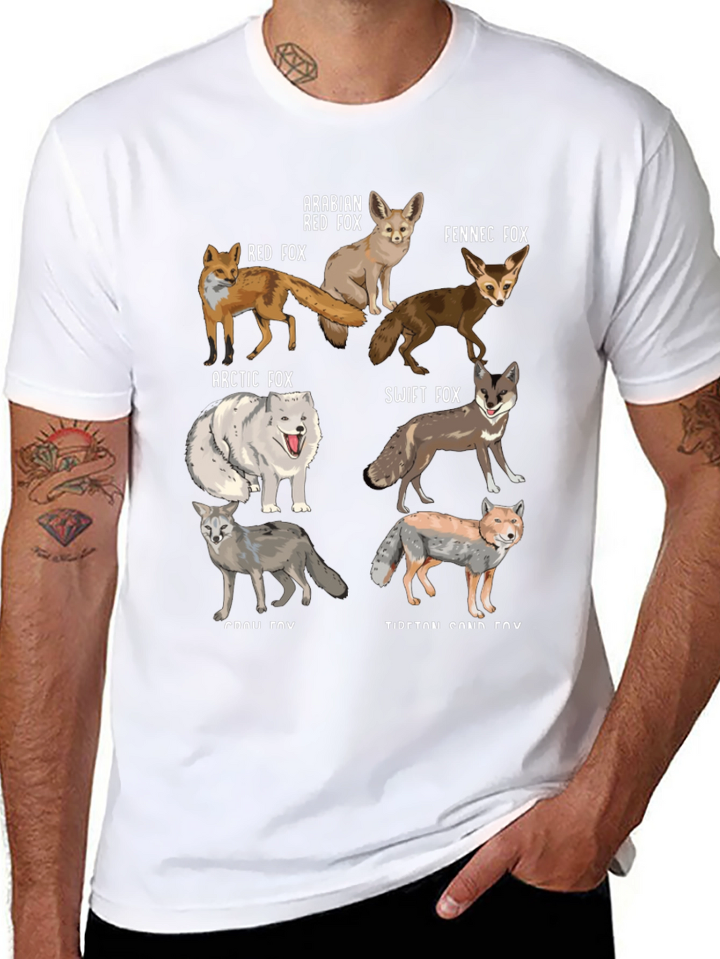Fox Breeds Graphic Print Mens T-Shirt