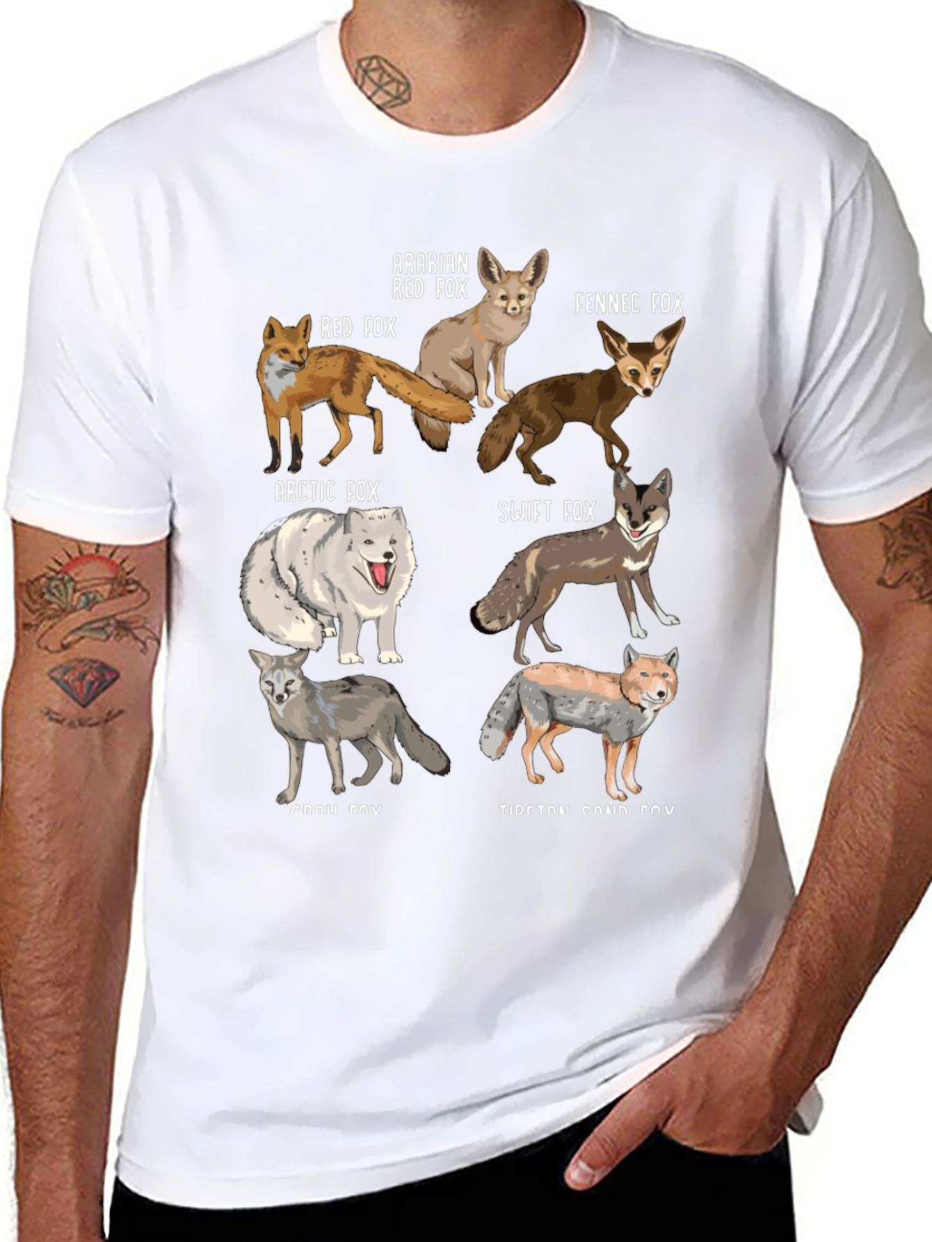 Fox Breeds Graphic Print Mens T-Shirt