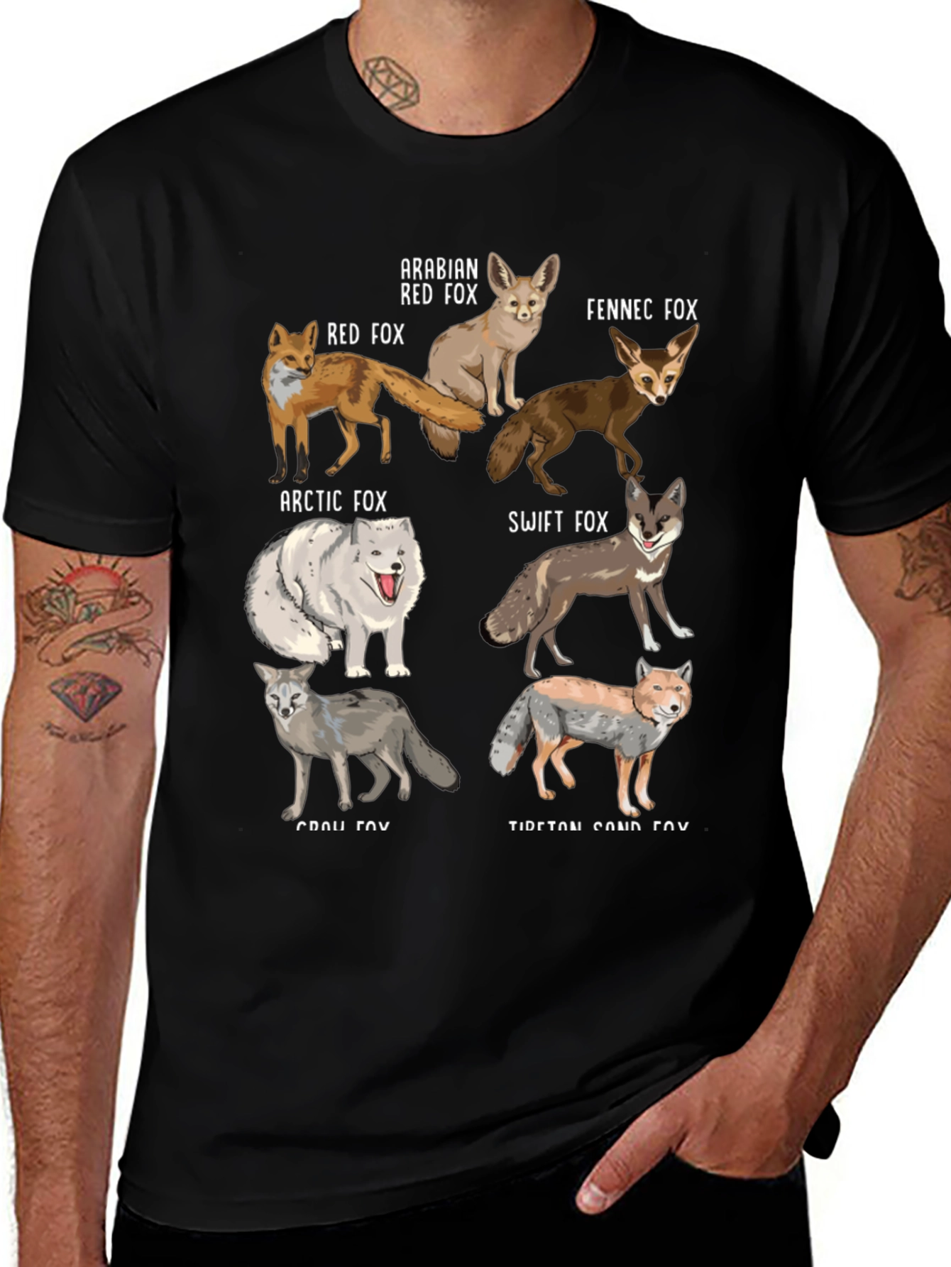 Fox Breeds Graphic Print Mens T-Shirt