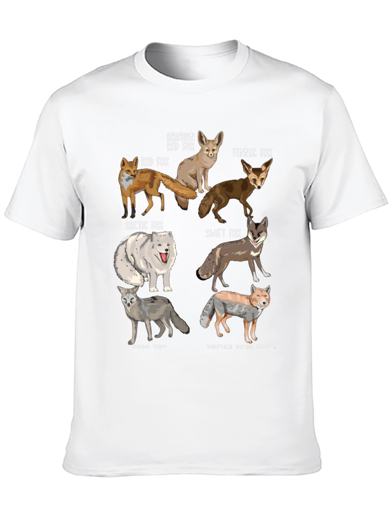 Fox Breeds Graphic Print Mens T-Shirt