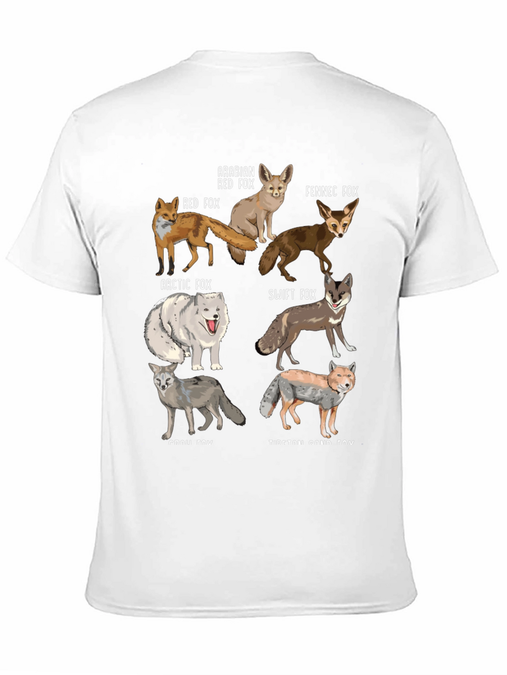 Fox Breeds Graphic Print Mens T-Shirt