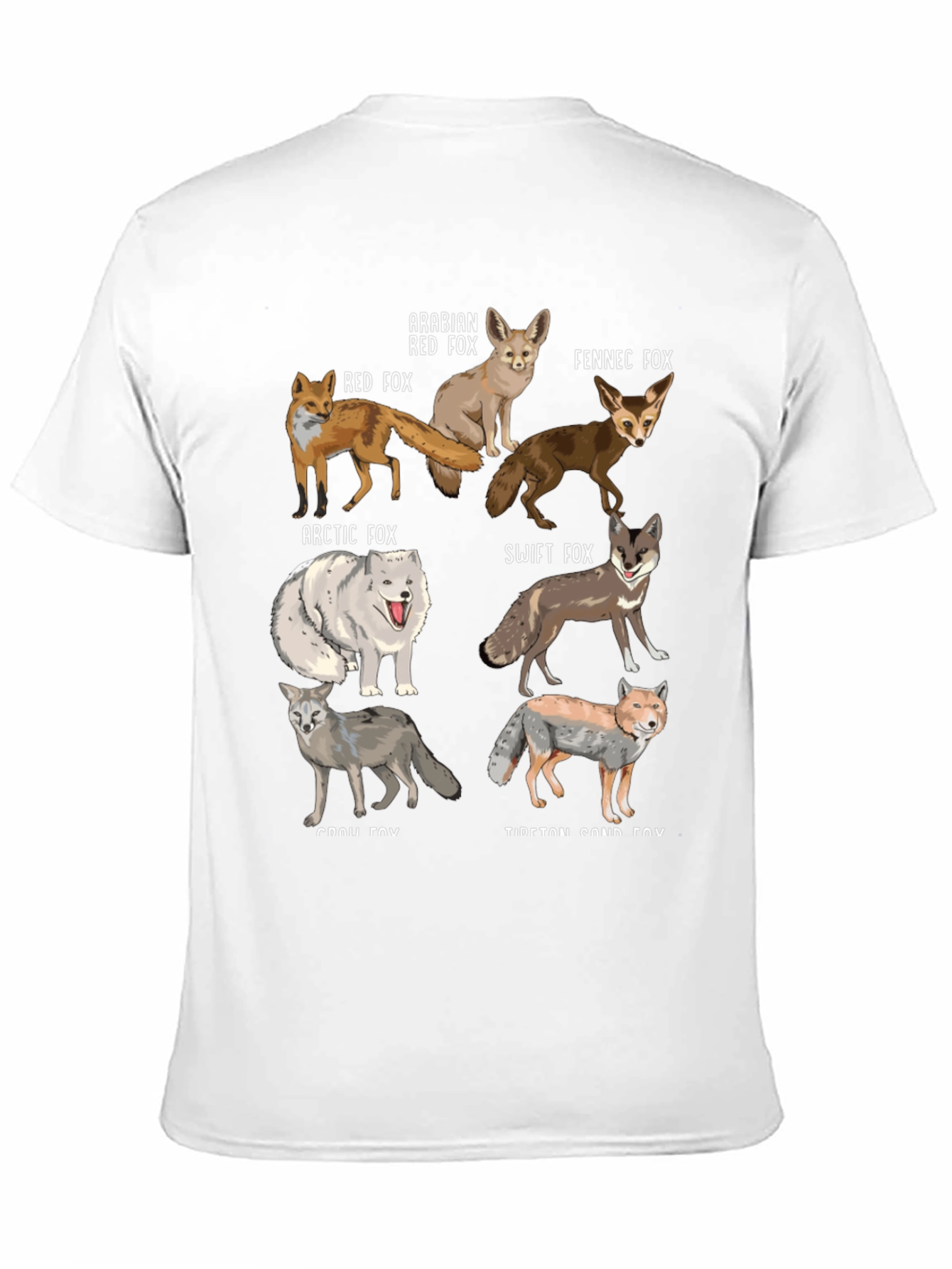 Fox Breeds Graphic Print Mens T-Shirt